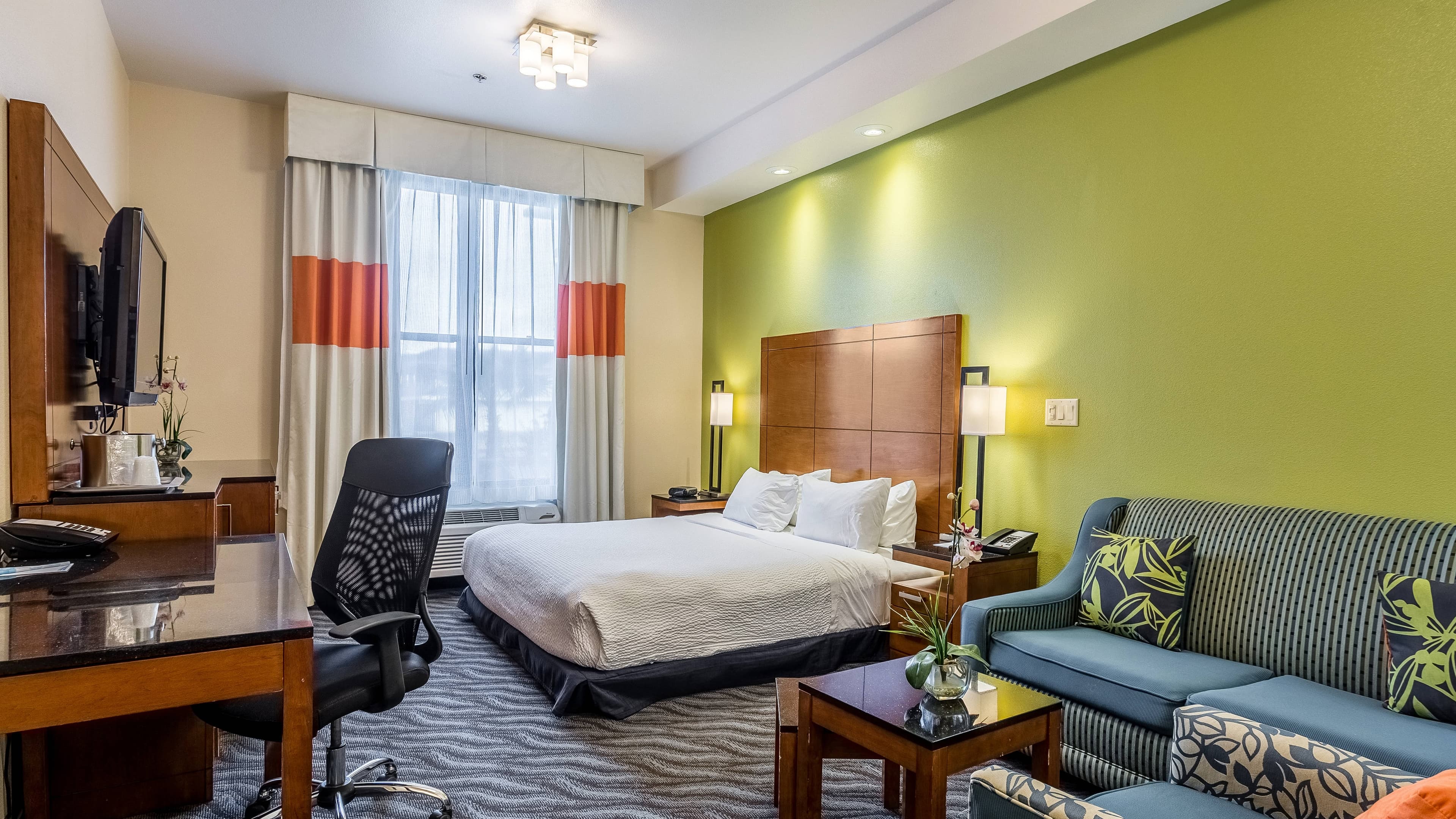 Single King Room - Image 5