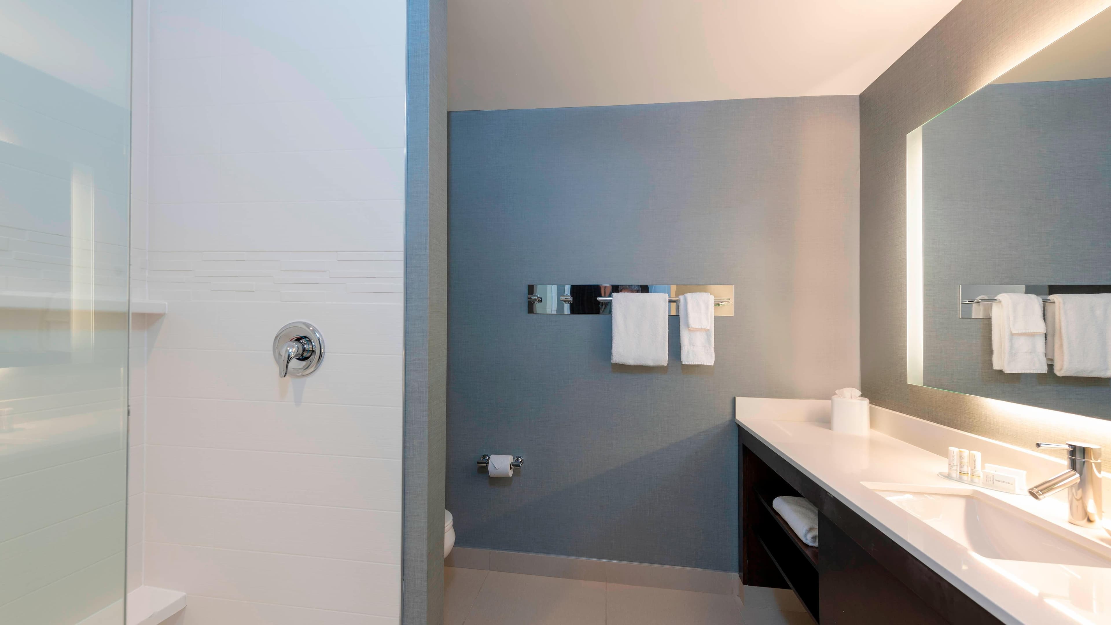 1 Bedroom Suite - Image 6