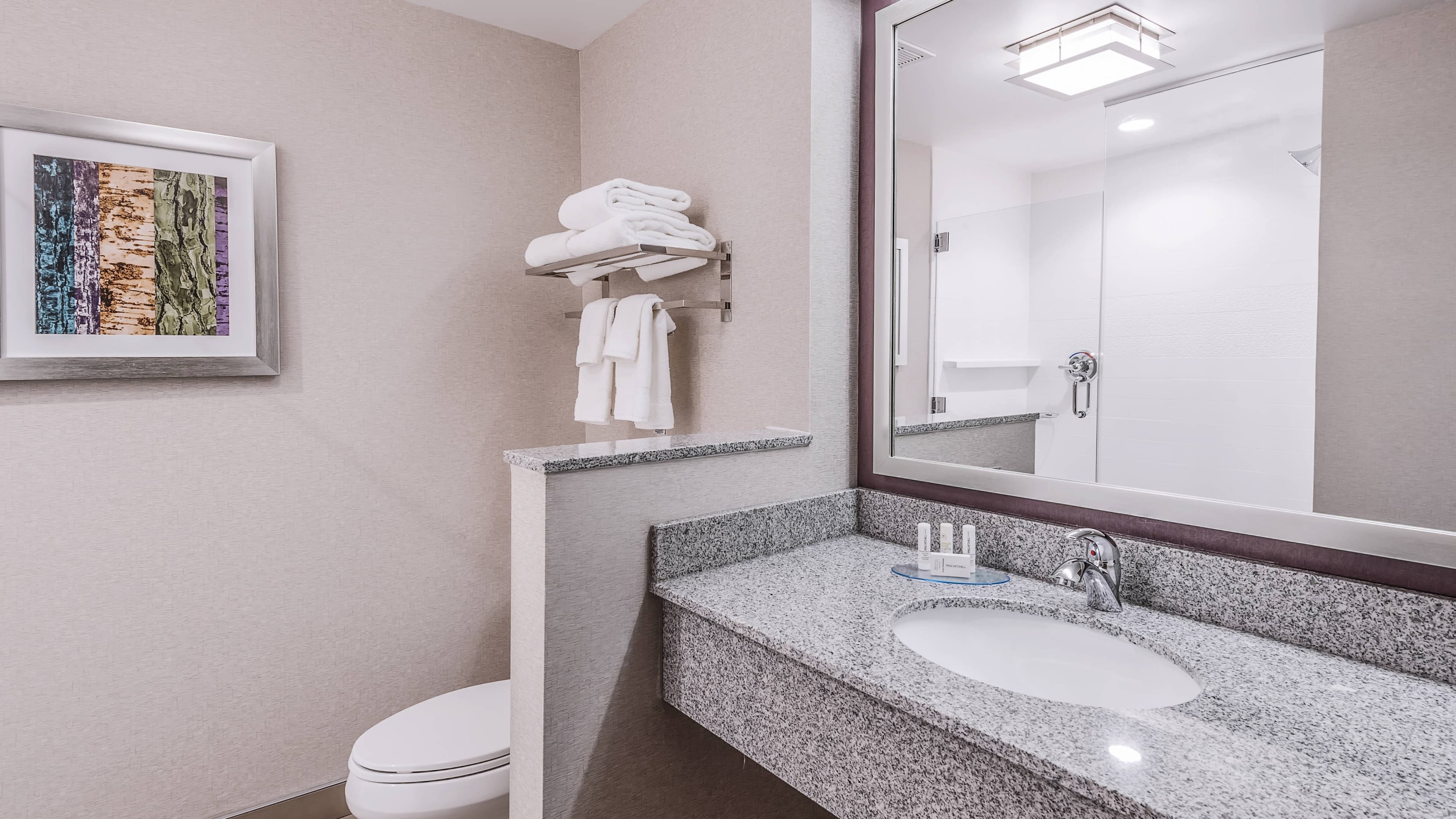 Executive Guest Room - Image 3