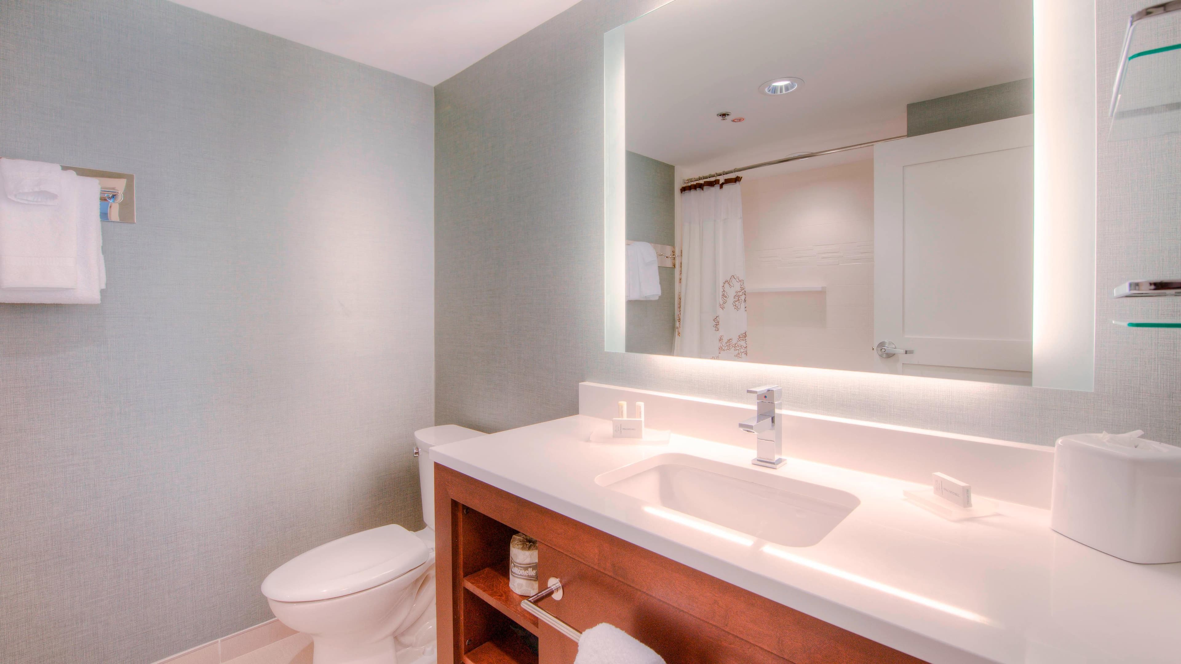 1 Bedroom Suite - Image 4