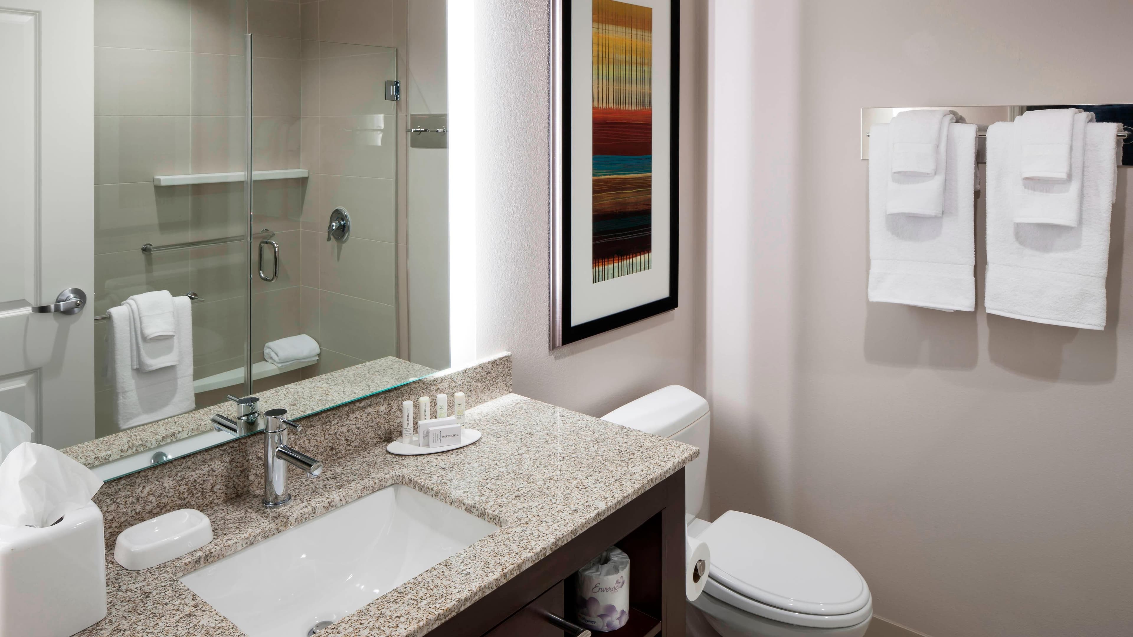 King Studio Suite - Image 4