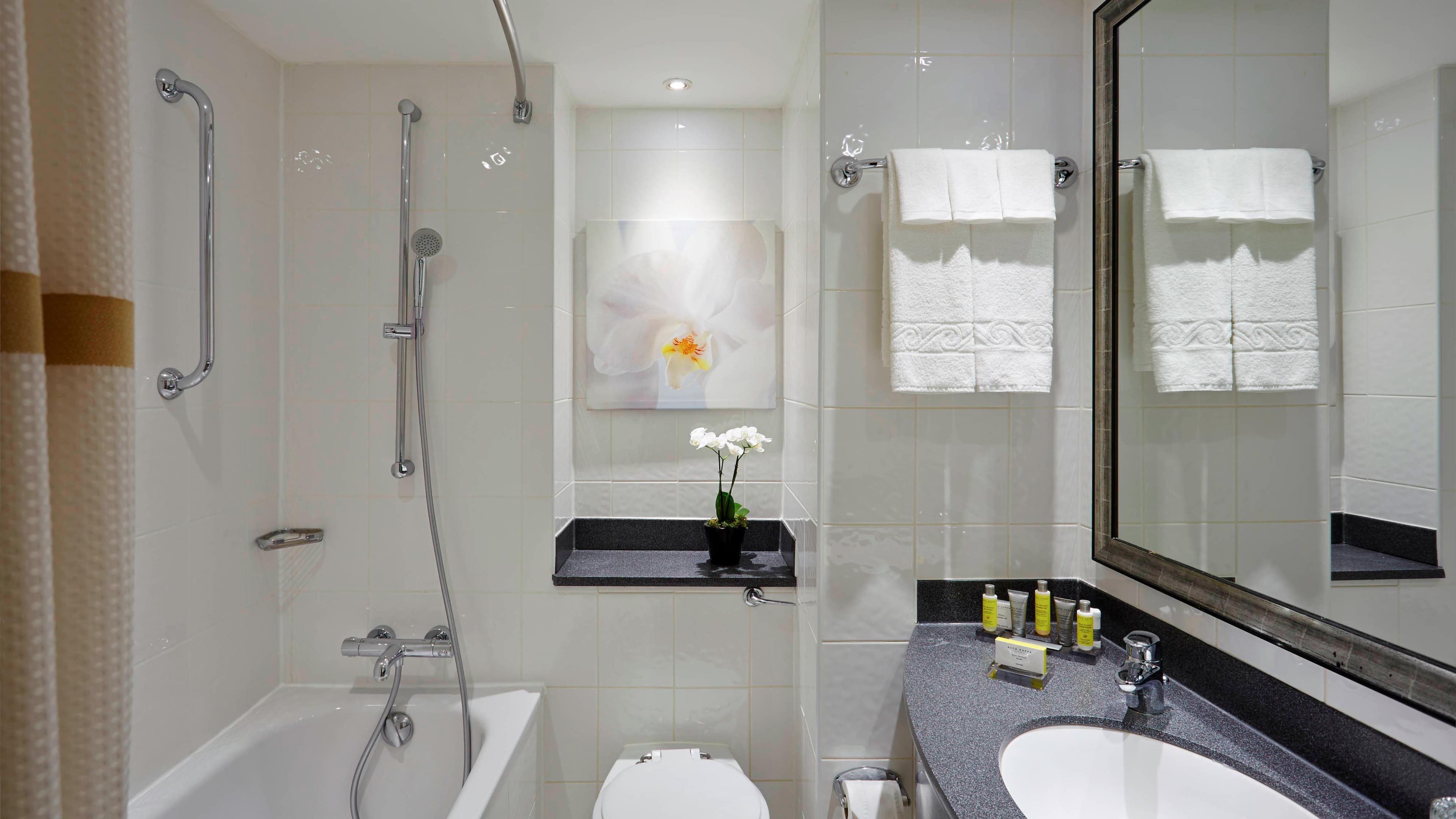 Deluxe Room - Image 3