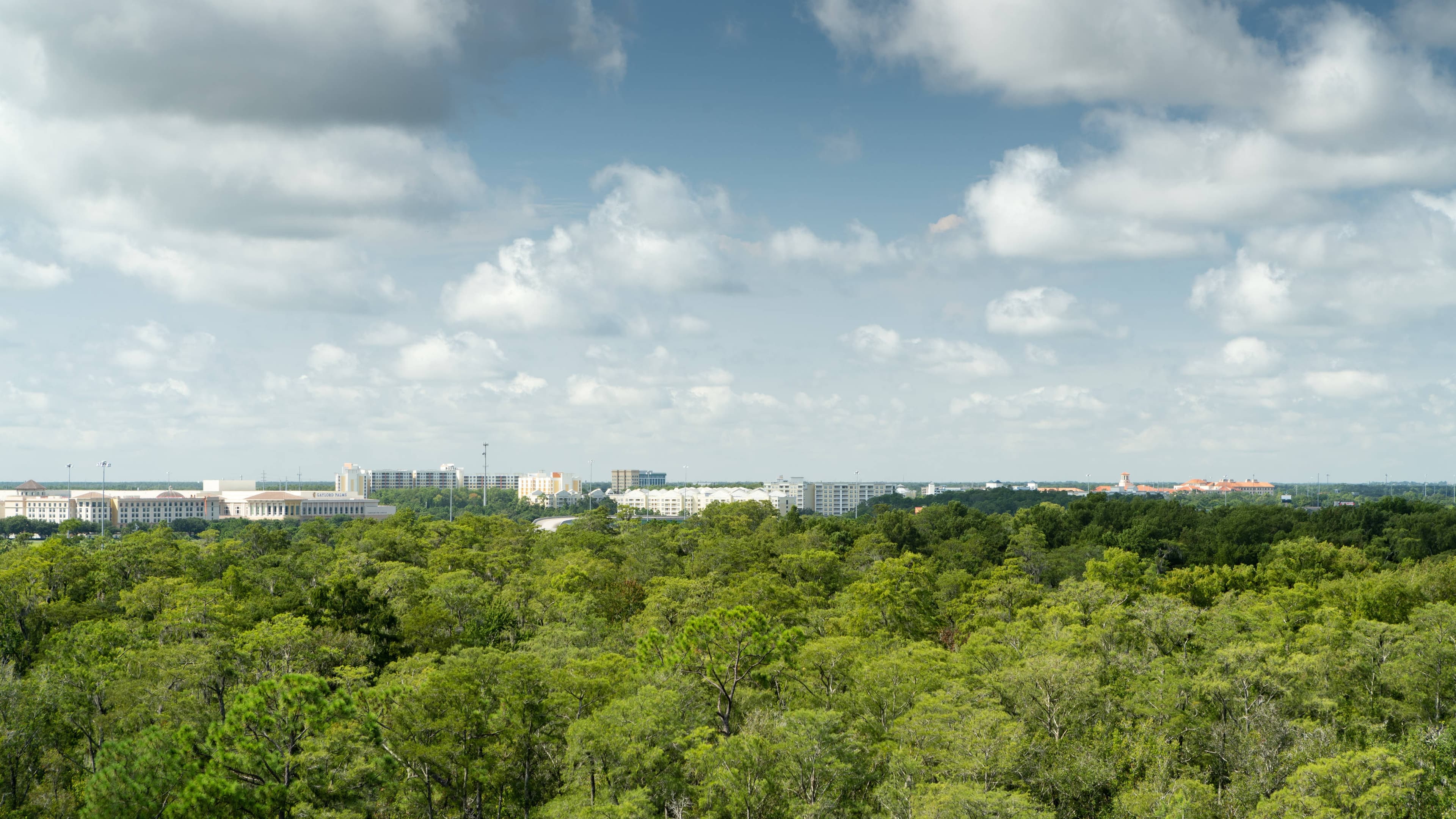 Guest room - Image 3