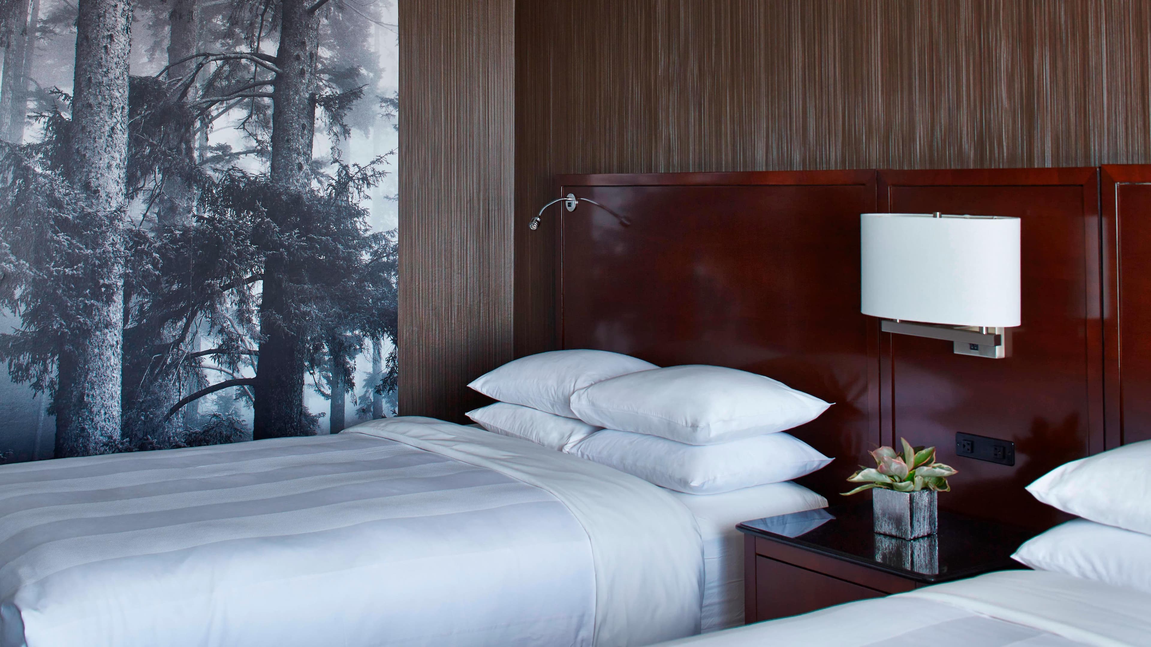 Guest room - Image 1