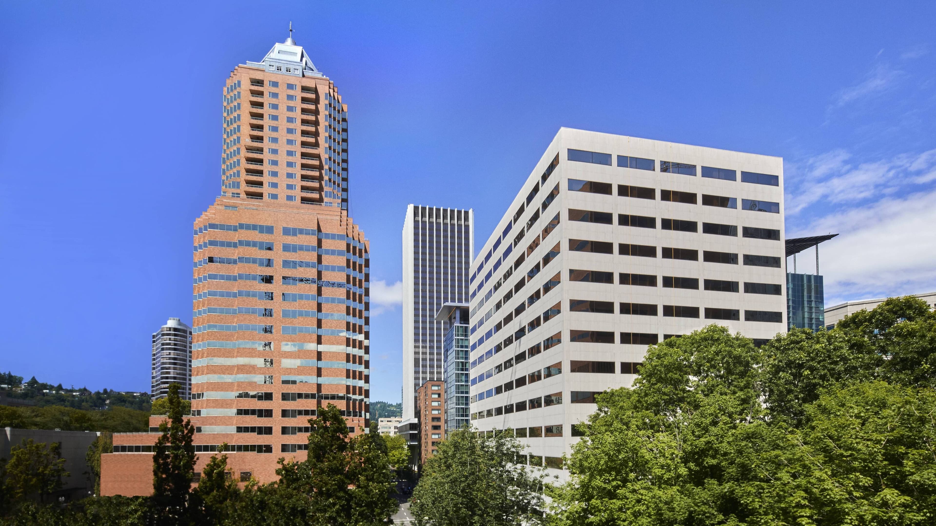 Guest room - Image 4