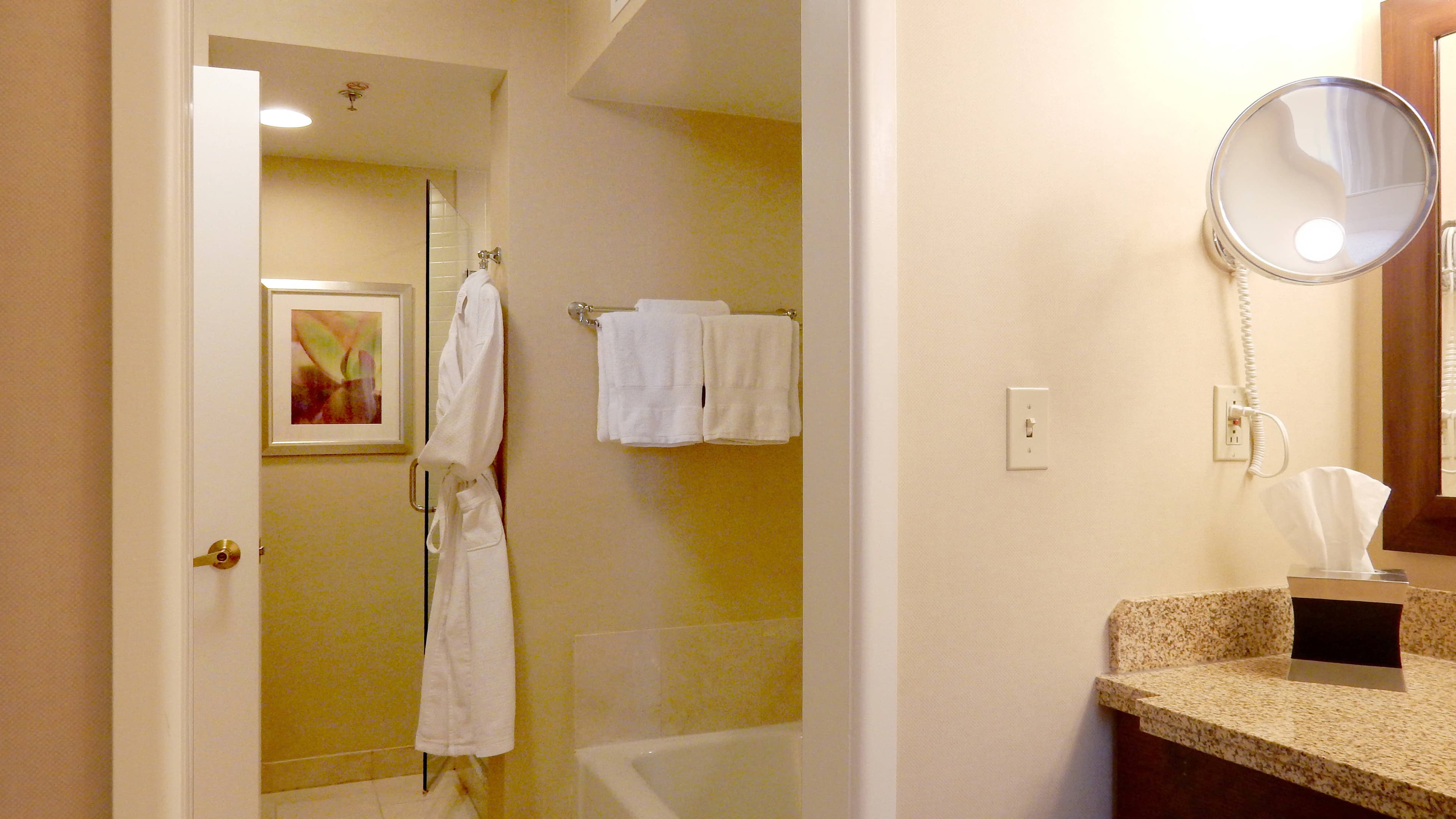 1 Bedroom Suite - Image 5