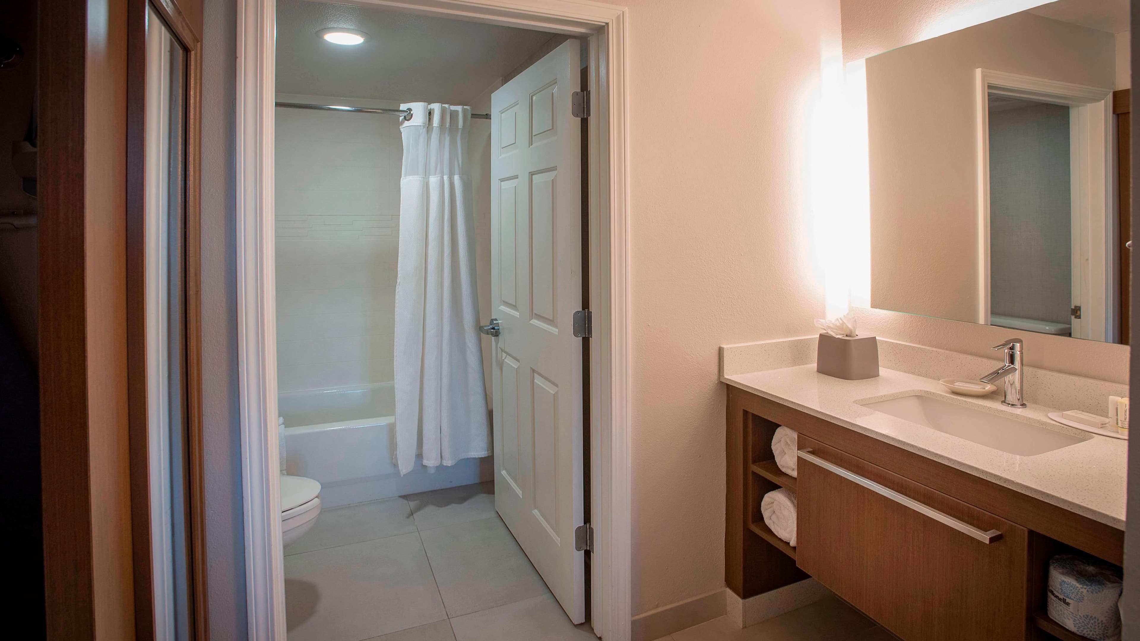 1 Bedroom 2 room Suite - Image 2