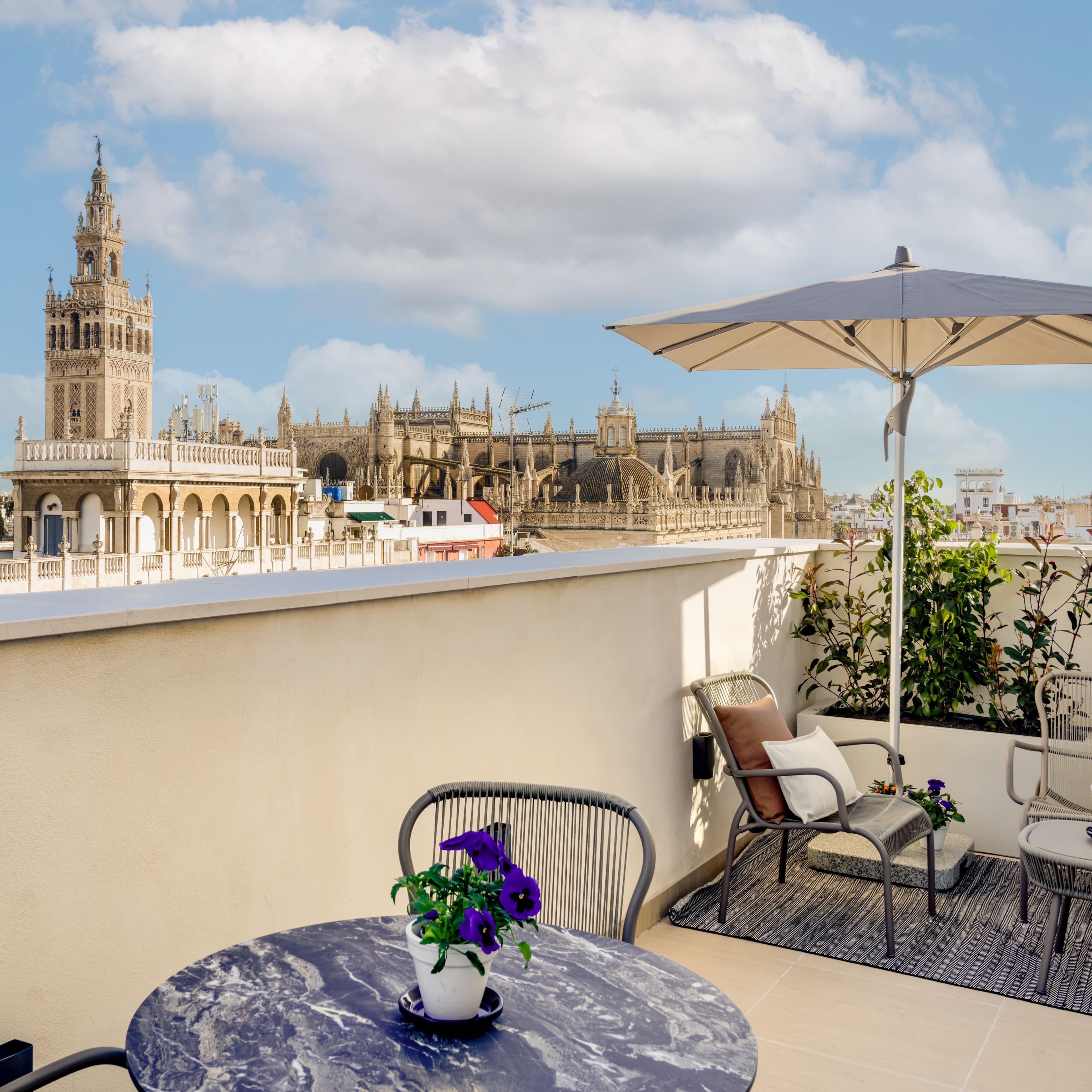 Querencia de Sevilla, Autograph Collection