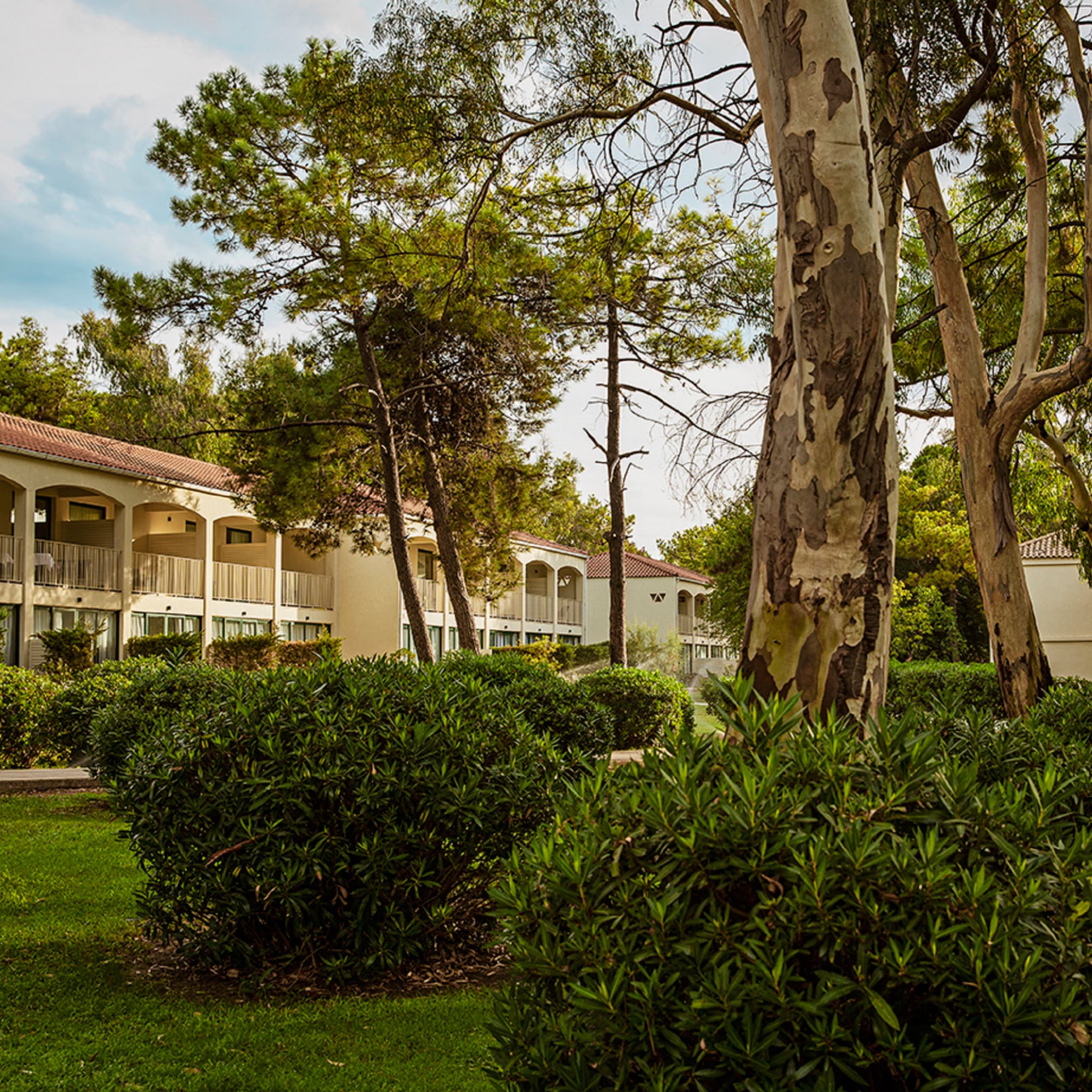 Domes Aulus Zante, Autograph Collection