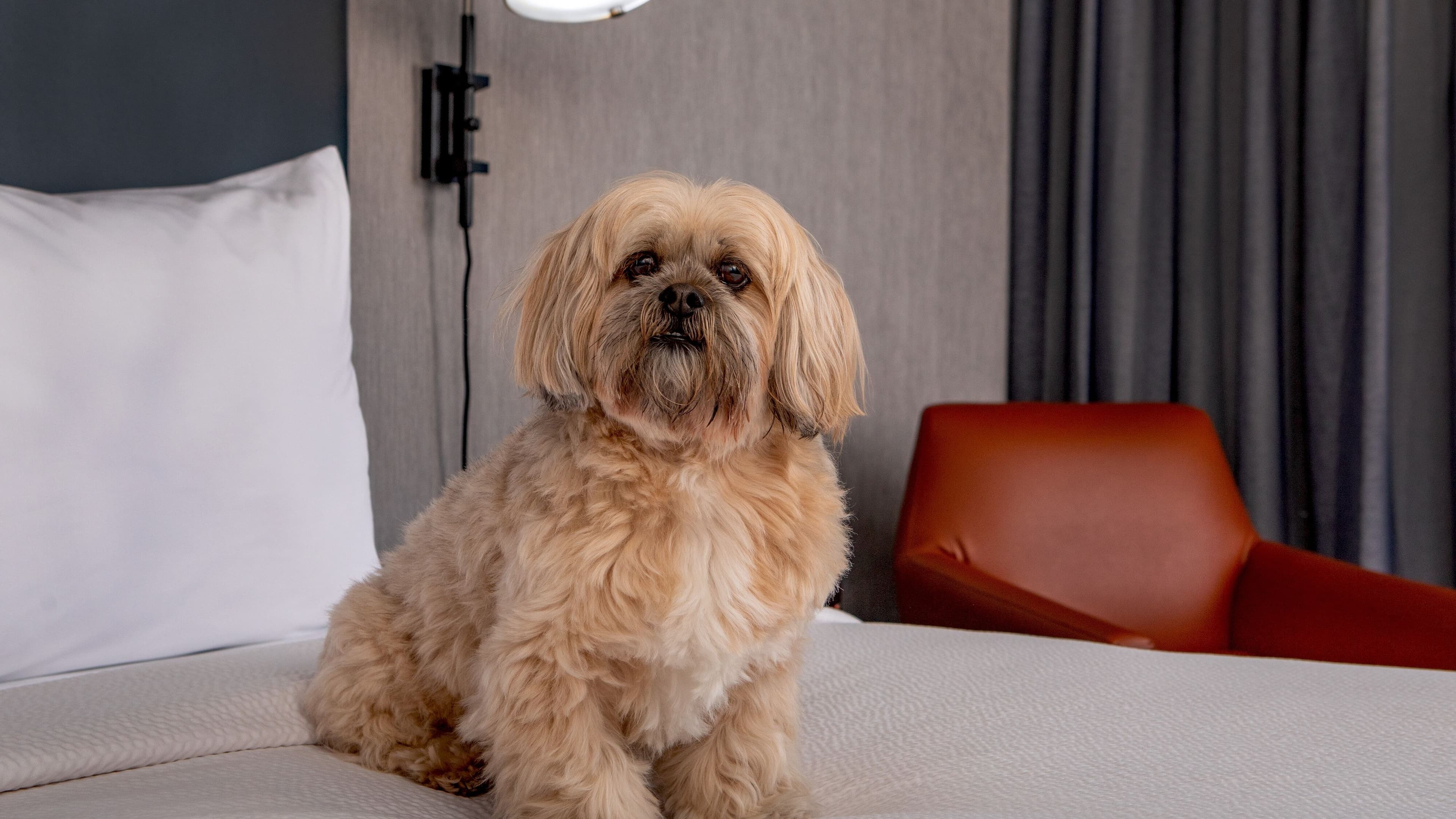 Guest room - Image 5