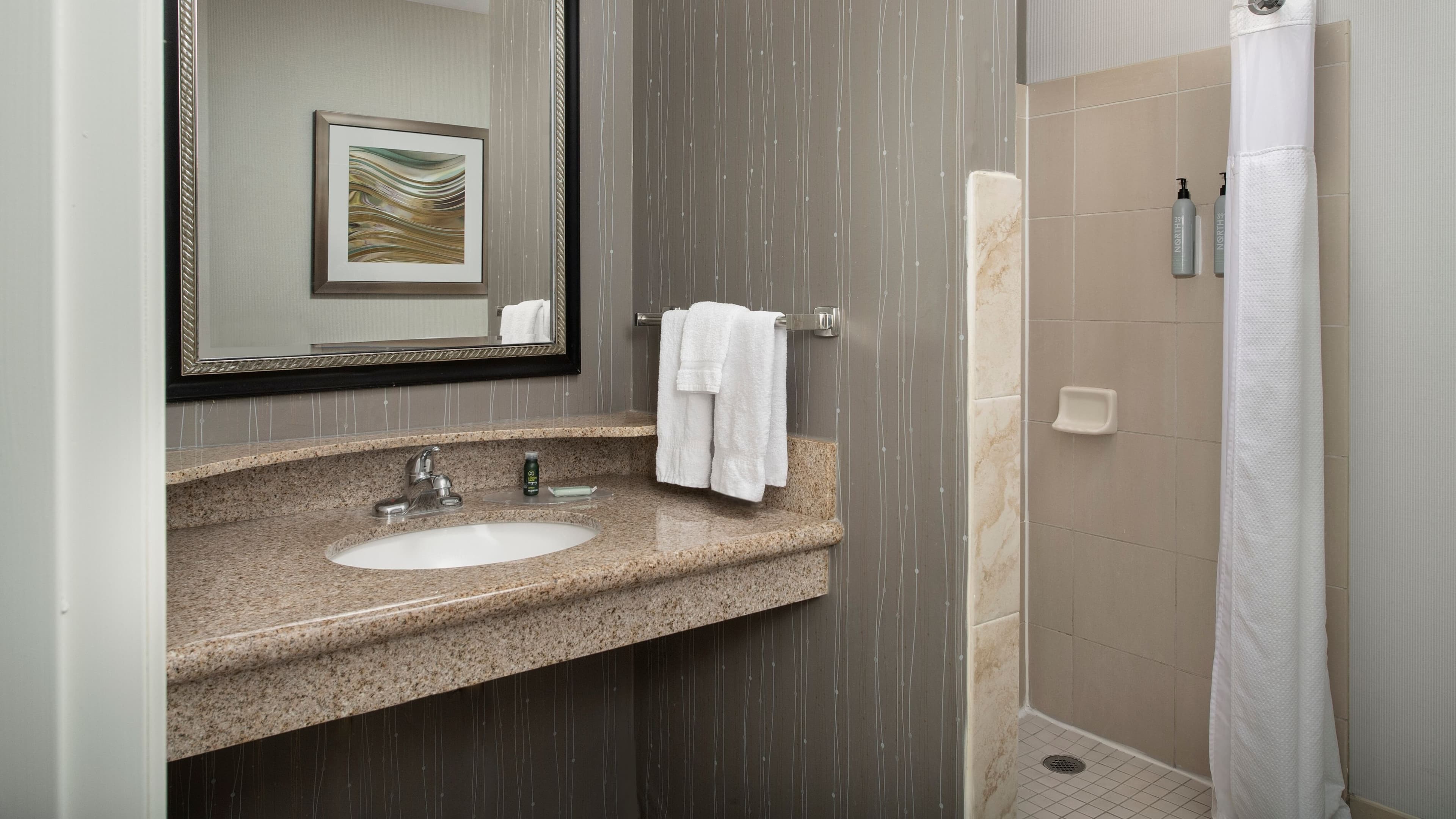 1 King Bed - Image 4