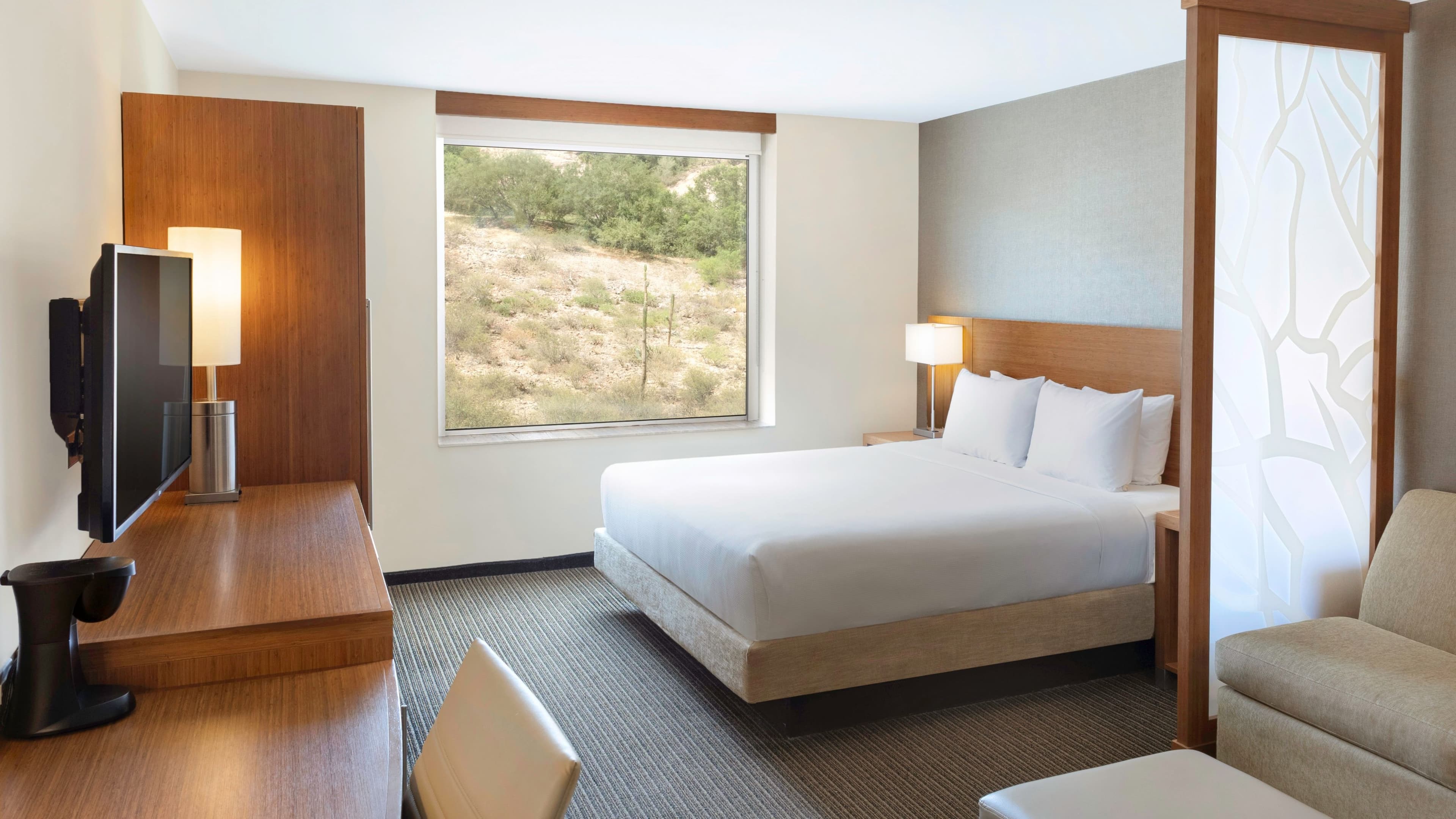 Deluxe Guest room - Image 1