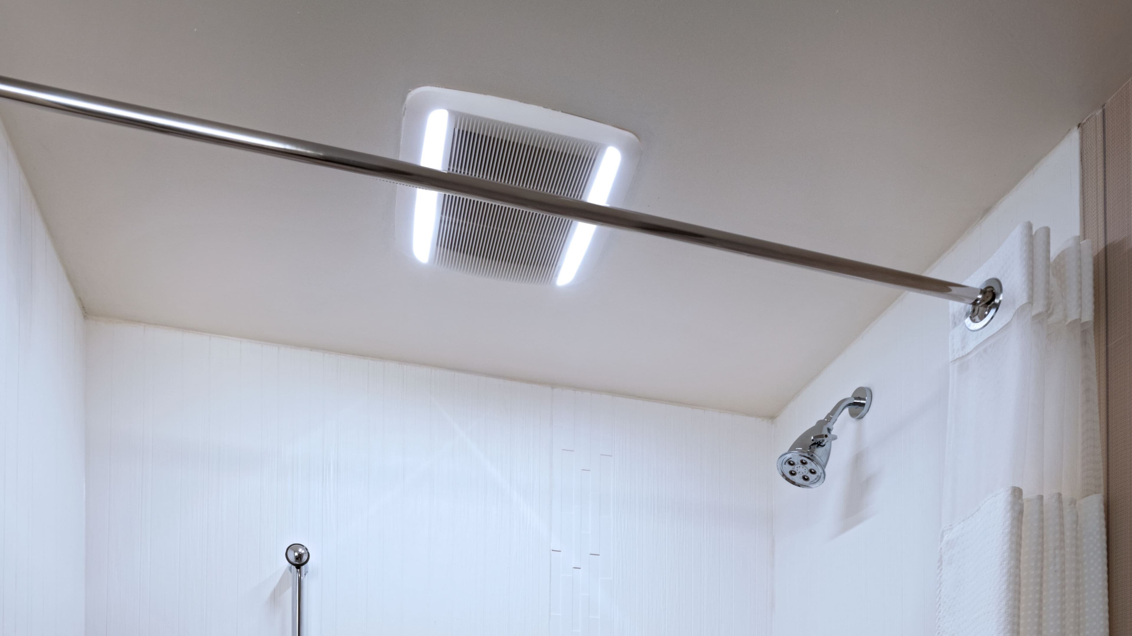 1 King with Sofa Bed - Image 4