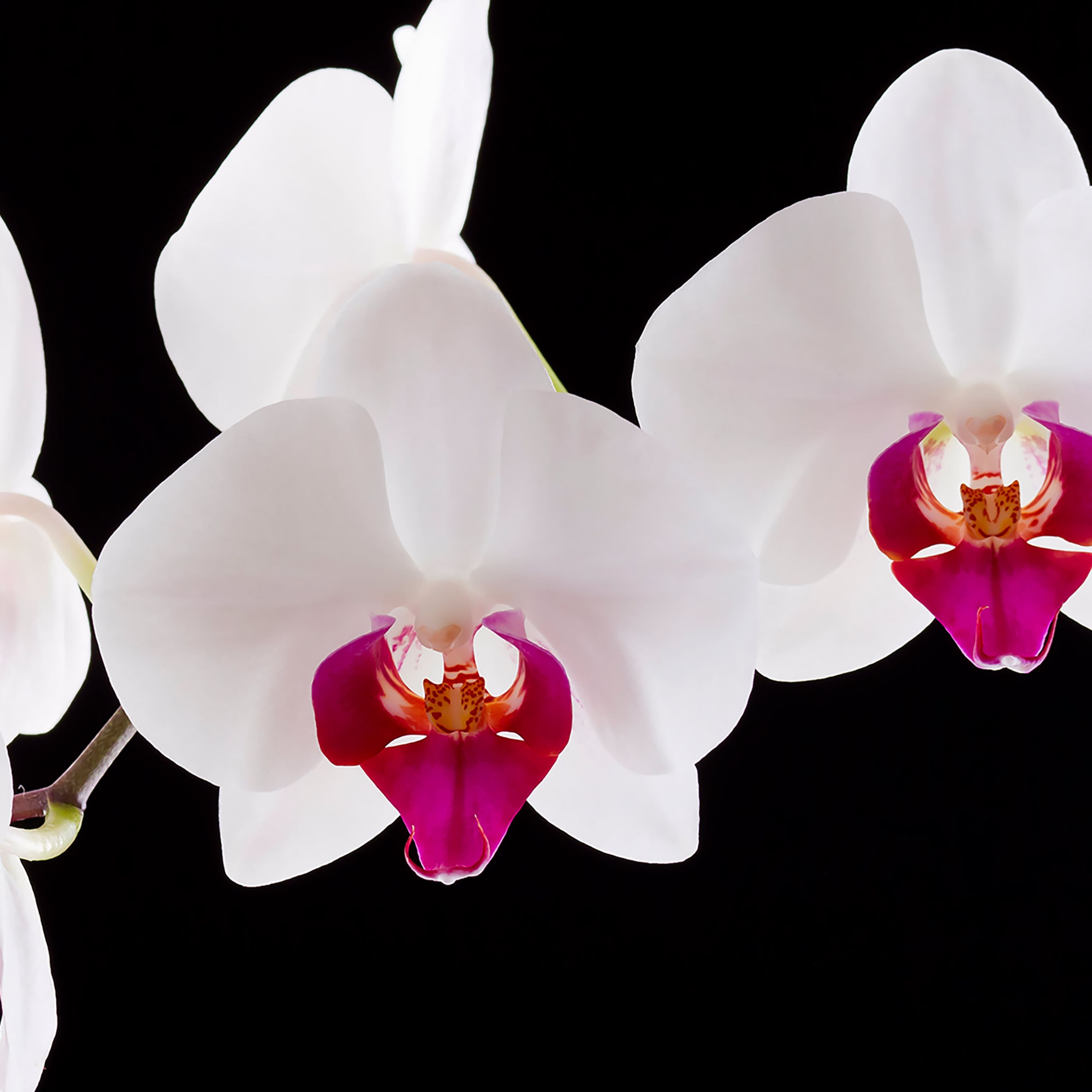 JW Marriott Hotel Zhengzhou