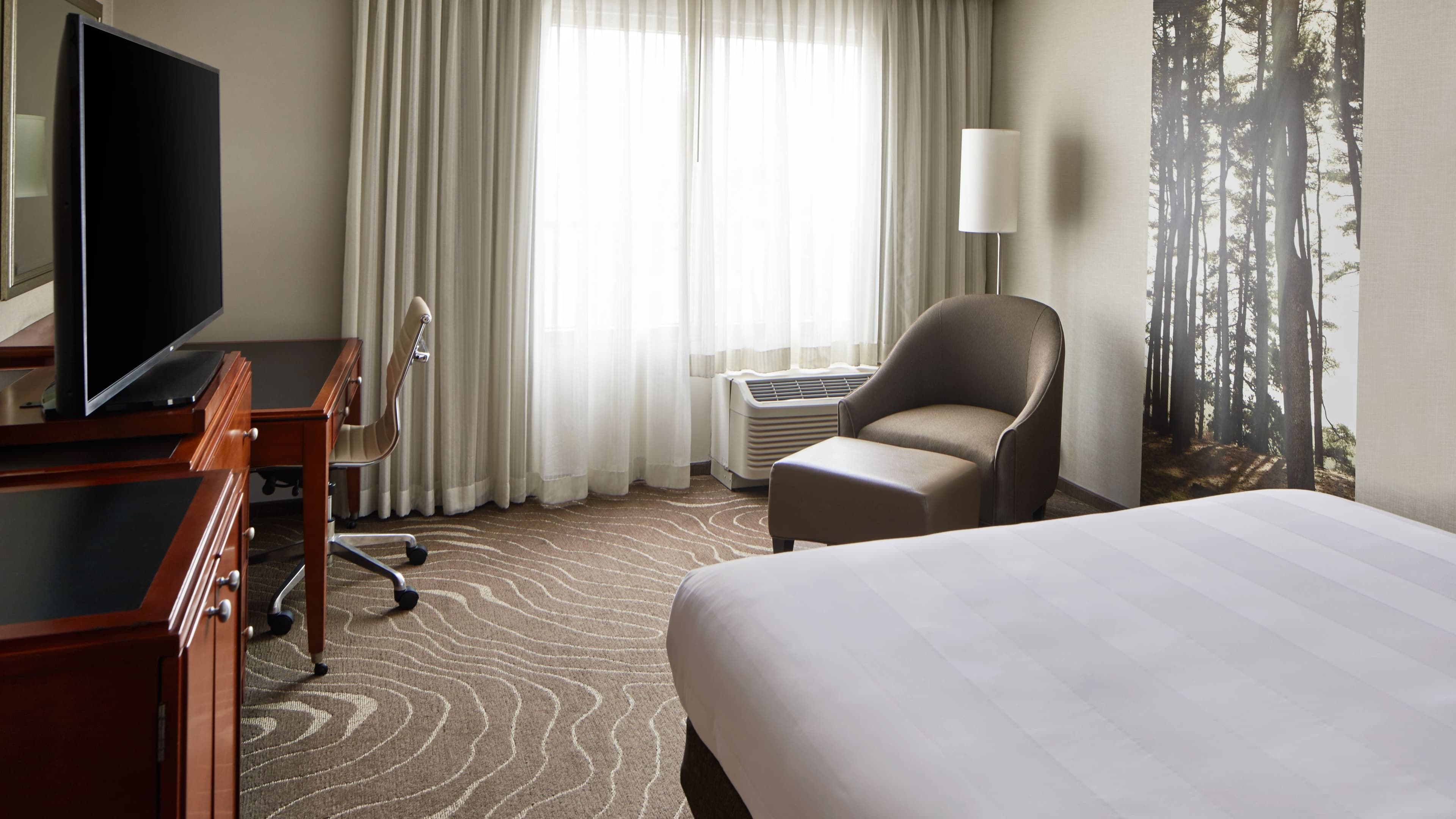 Guest room - Image 1