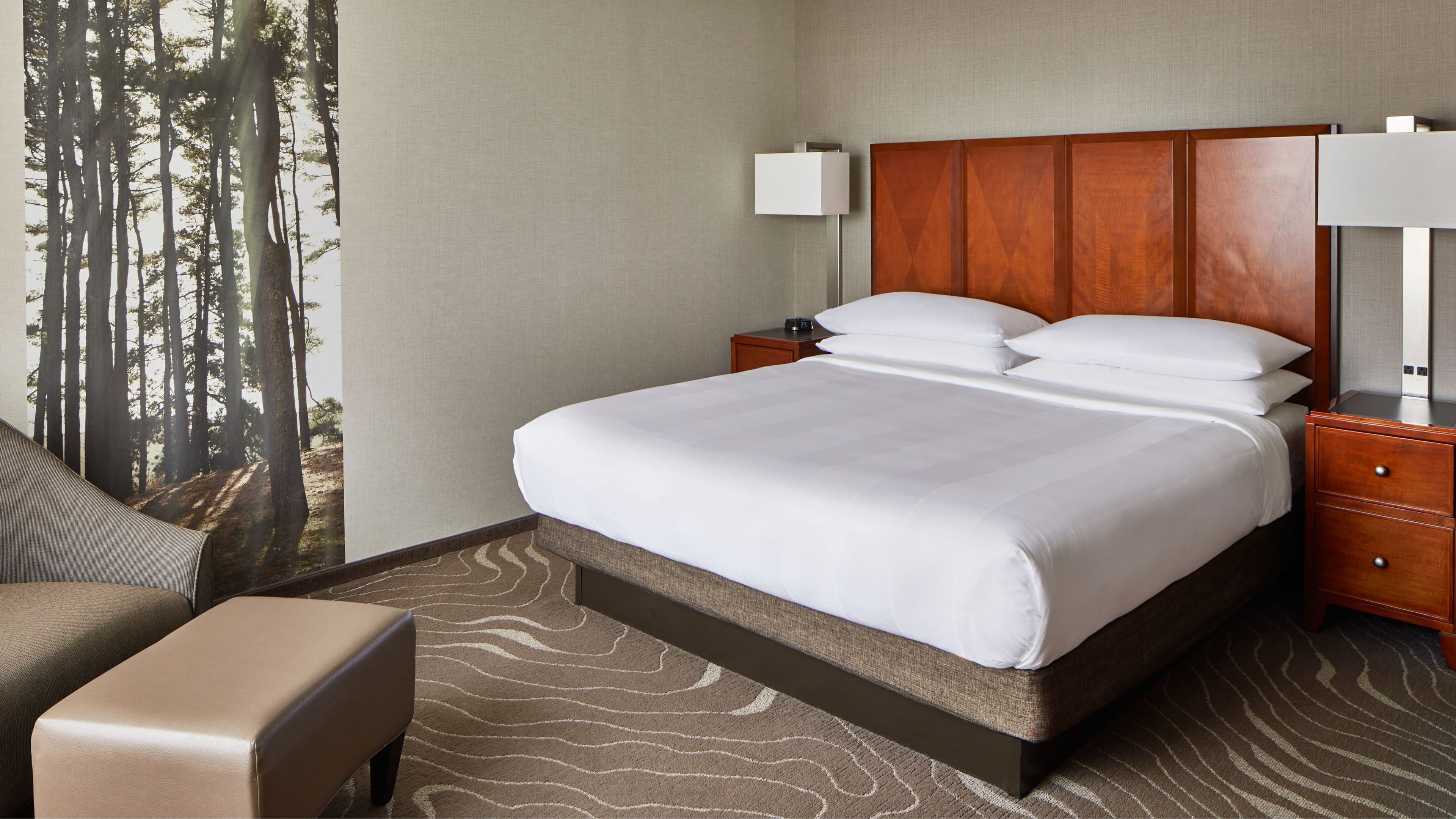 Guest room - Image 11