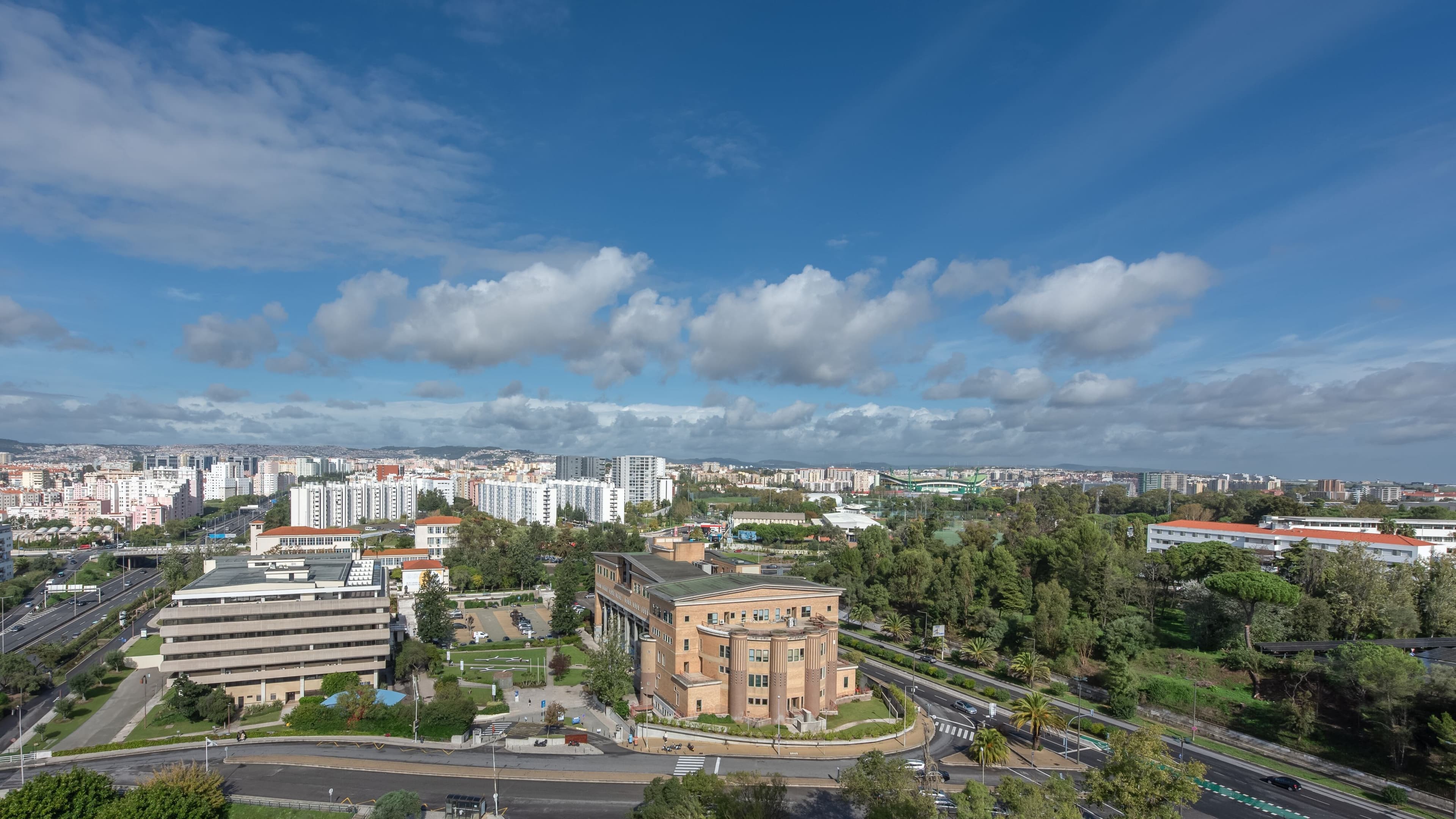 Comfort King - Image 3