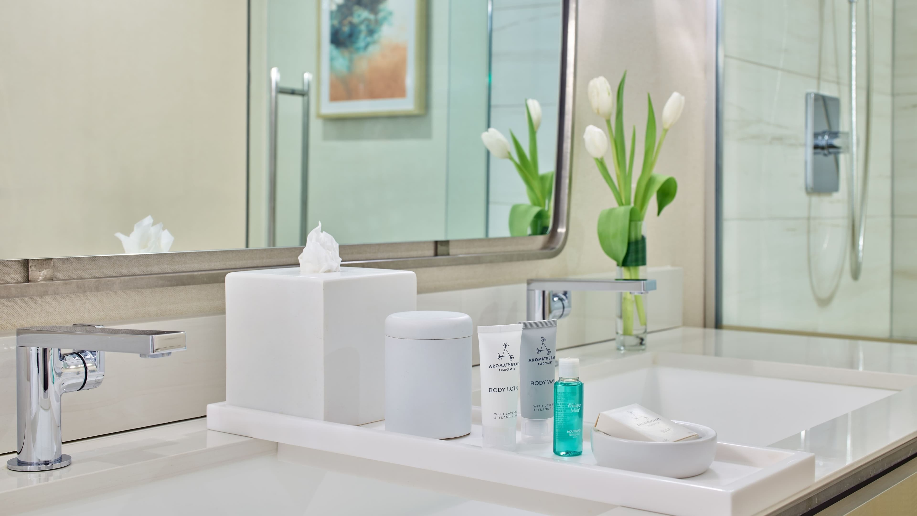 Deluxe Two Queen - Image 5