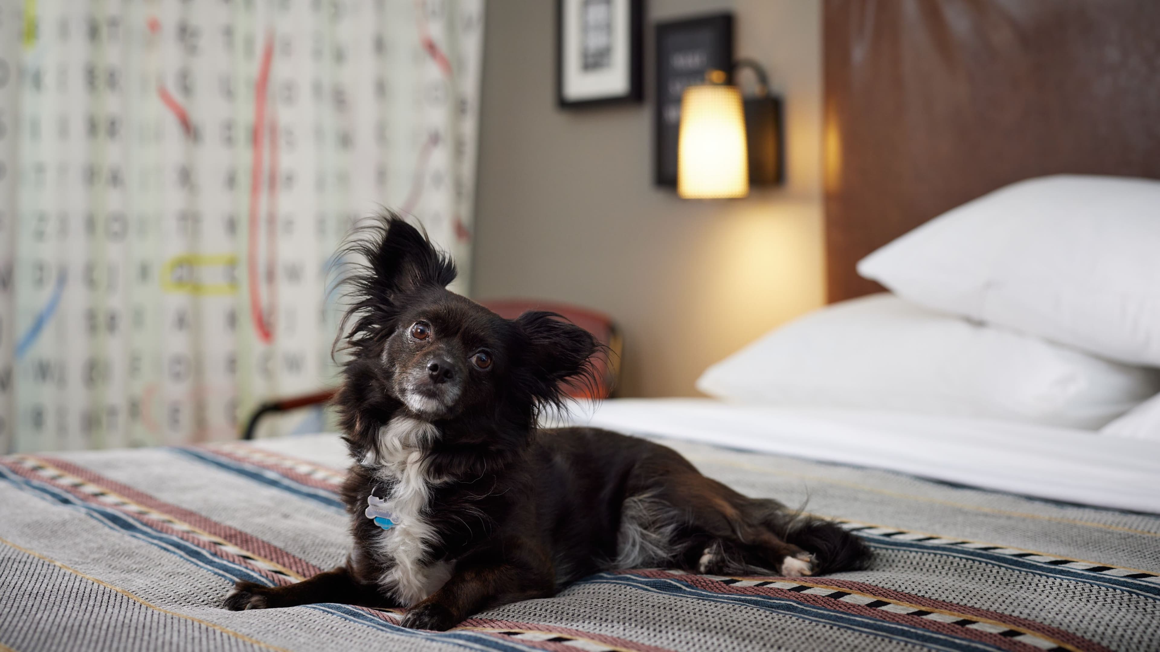 Guest room - Image 4