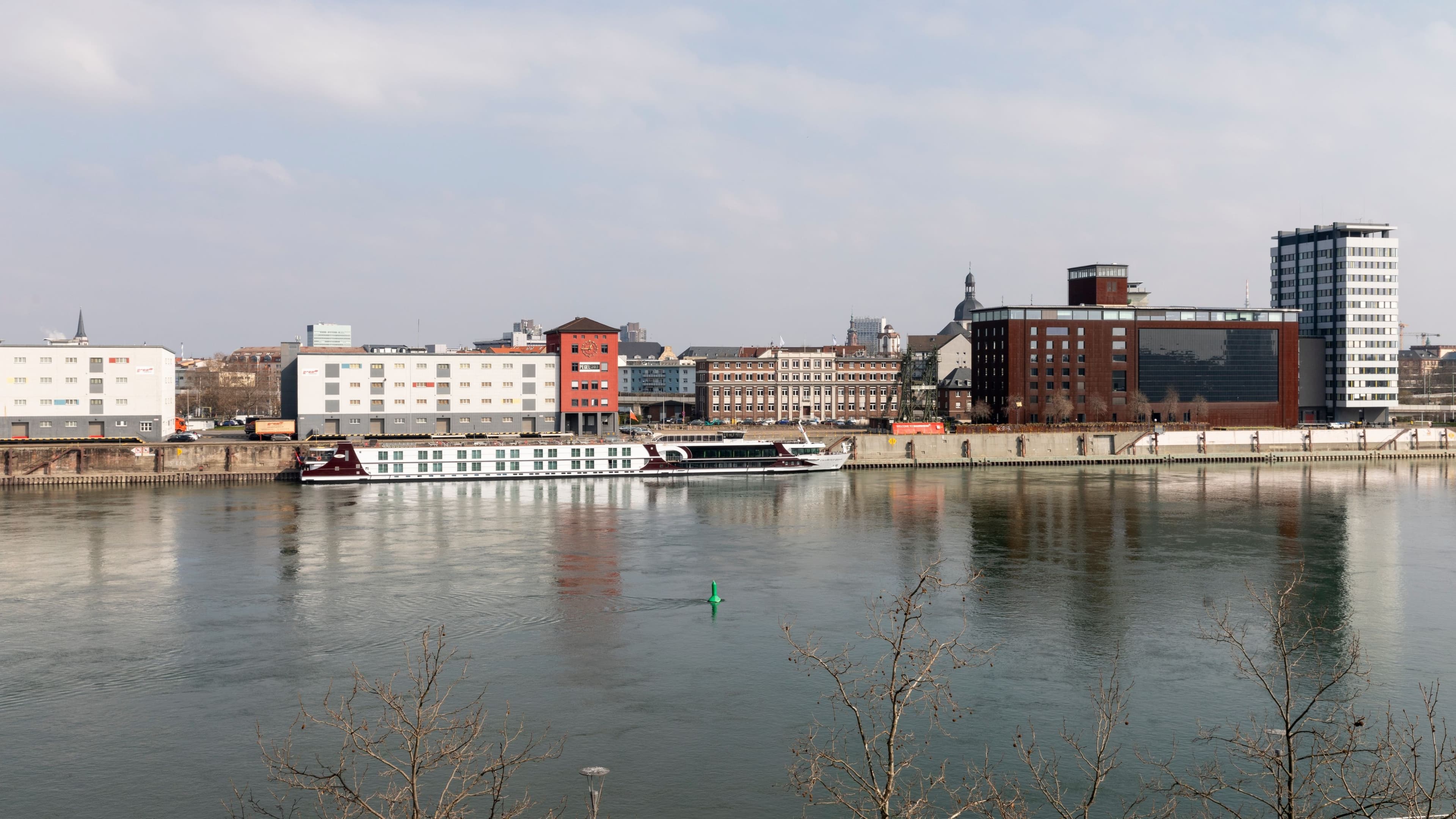 Moxy Queen Sleeper - Image 6