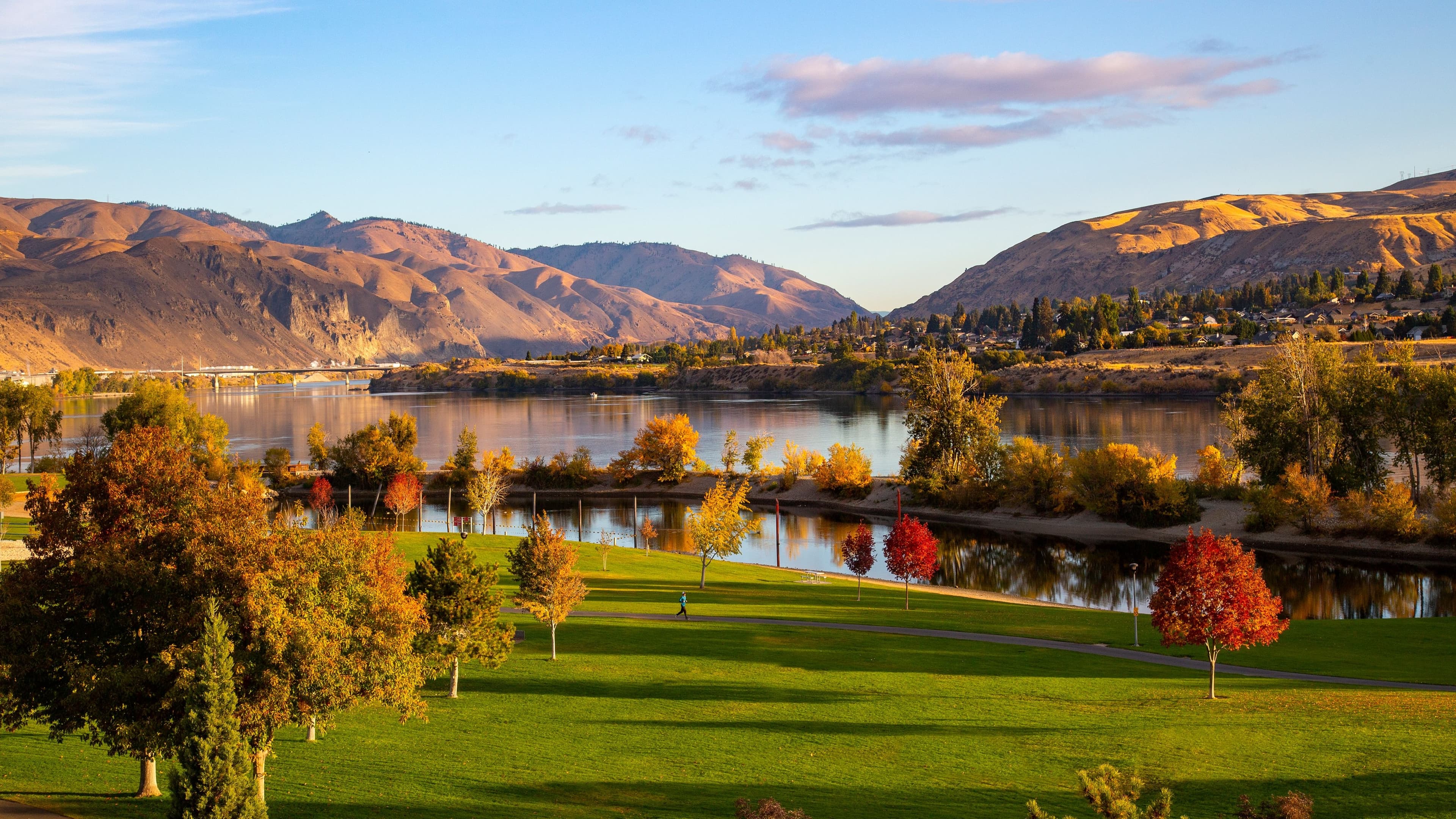 1 Bedroom 2 room Suite - Image 8