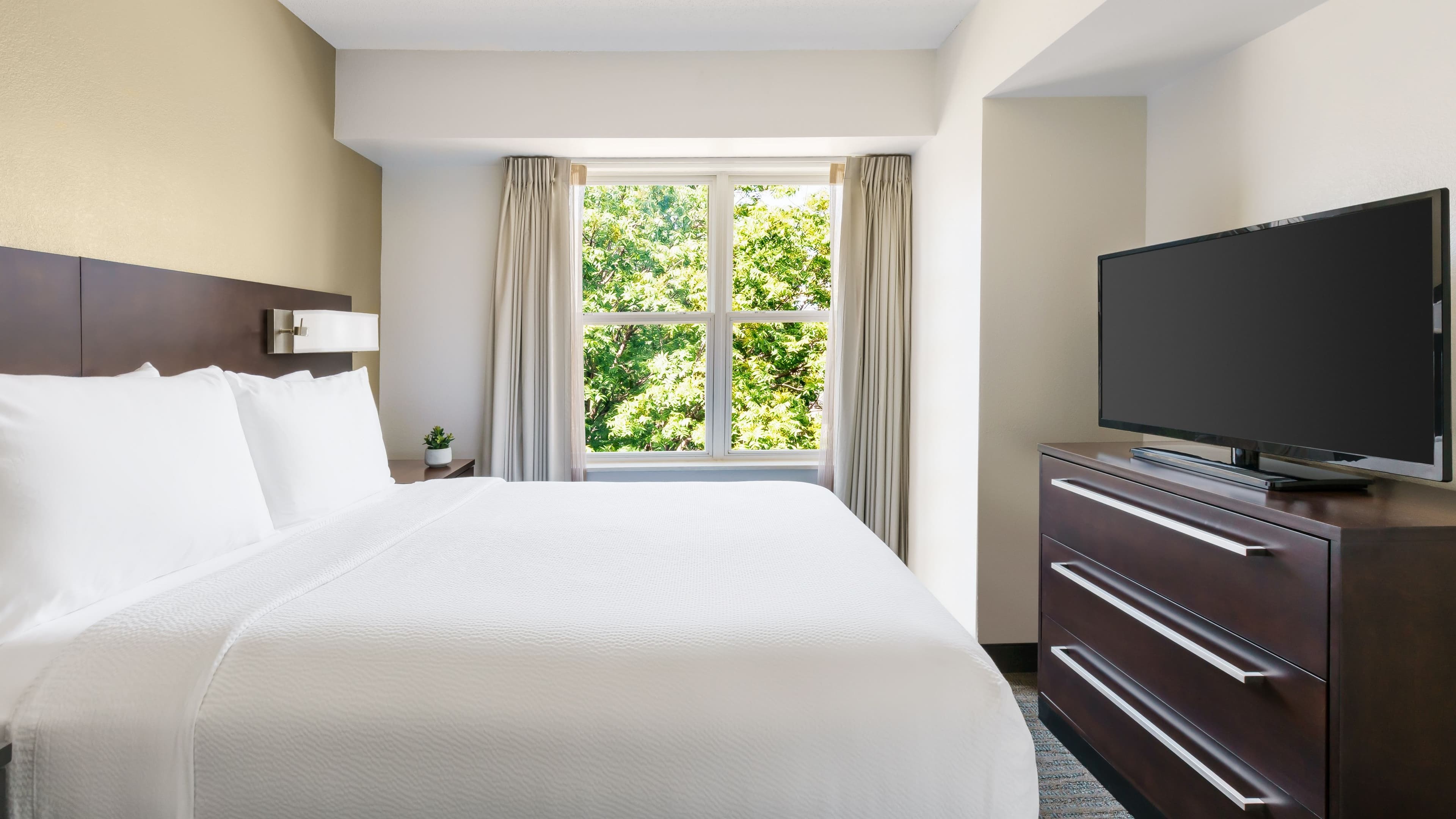 1 Bedroom 2 room Suite - Image 7