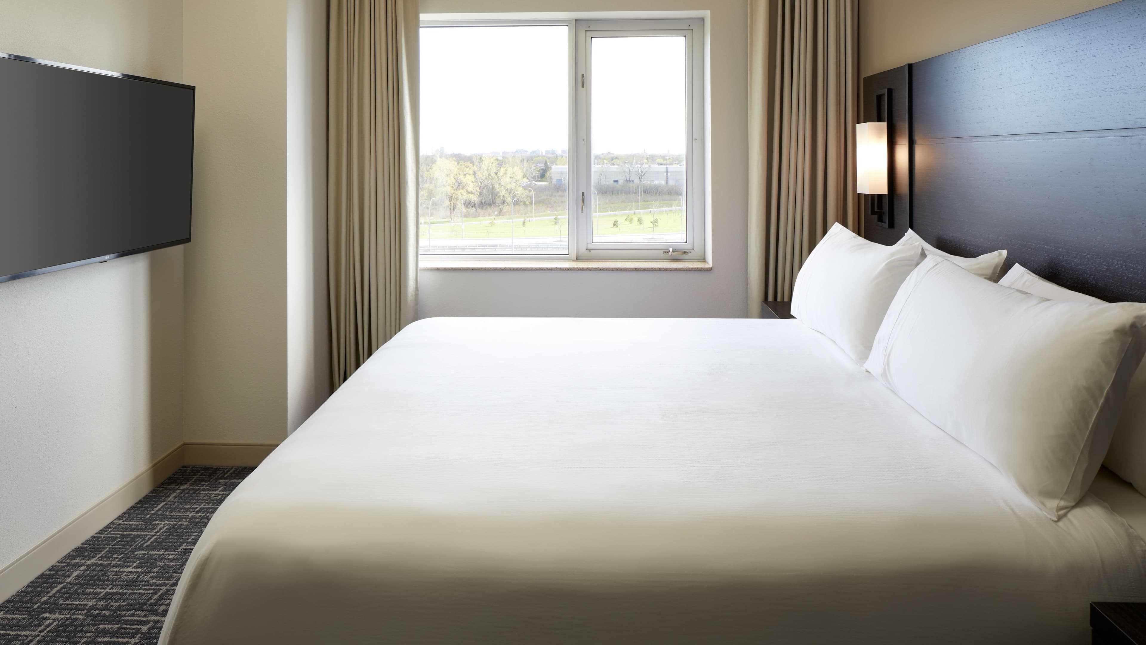 1 Bedroom Suite - Image 2