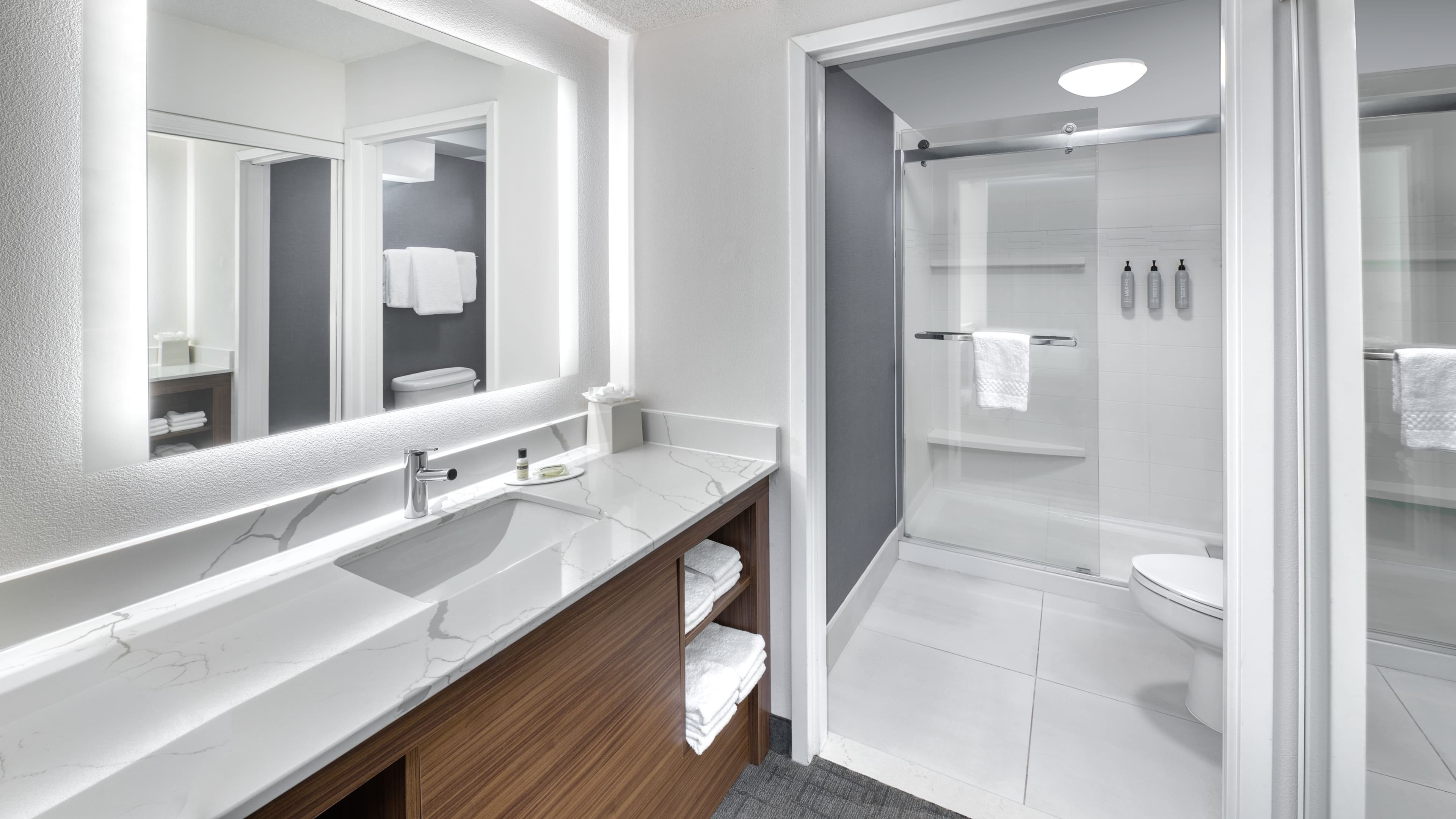 One Bedroom Suite - Image 6