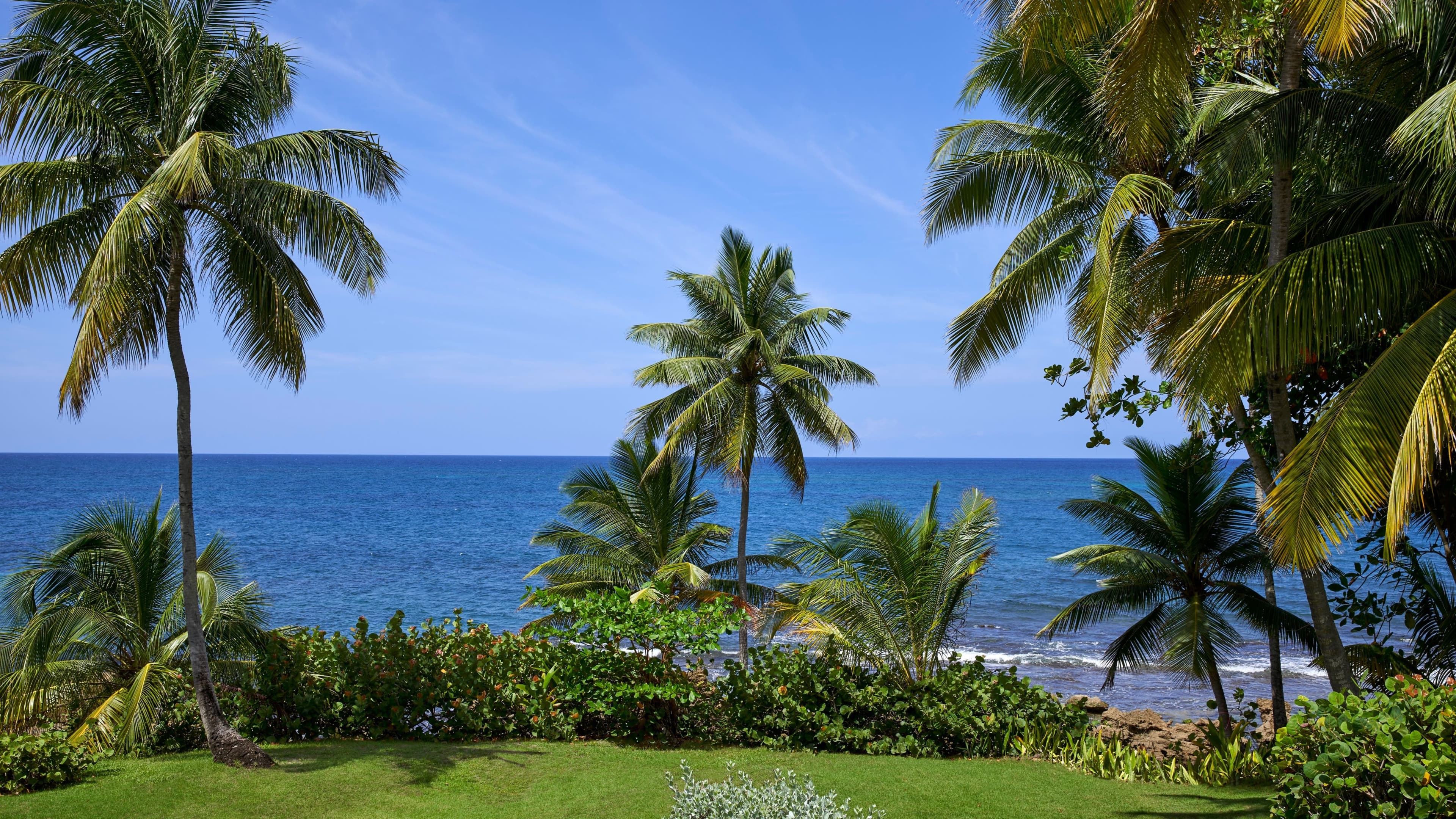 East Beach Reserve - Image 4