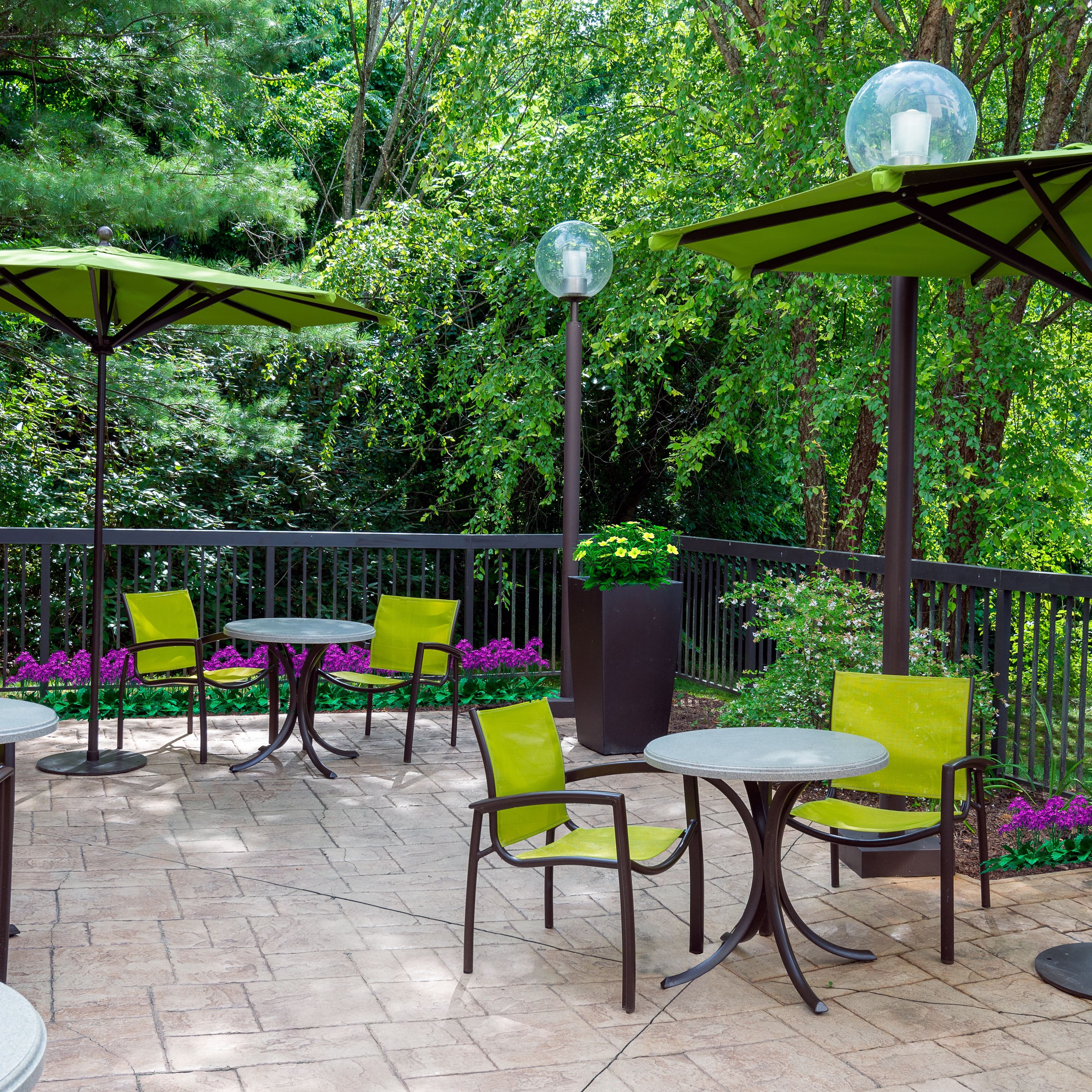 SpringHill Suites Asheville