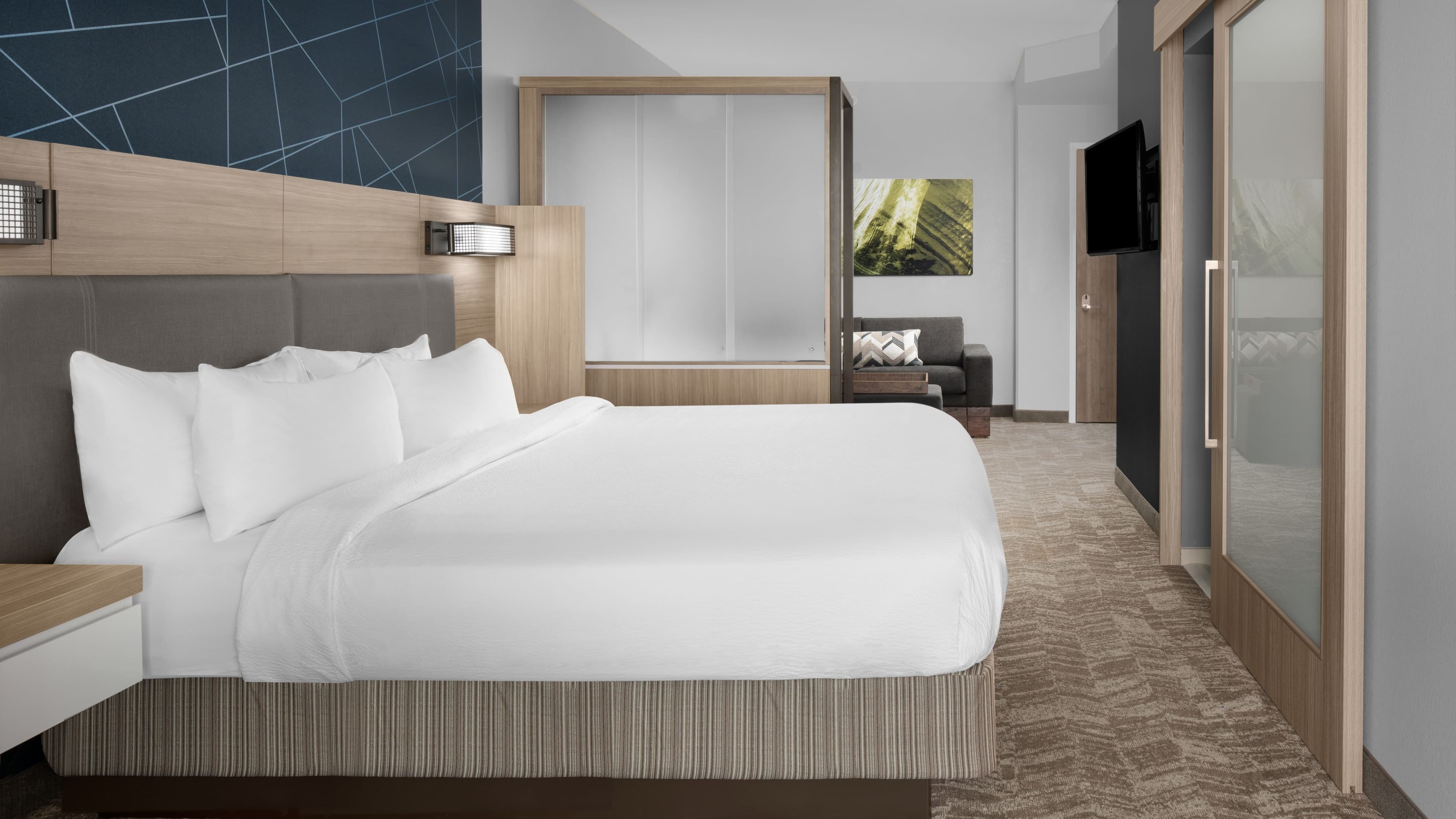 Studio Suite - Image 3