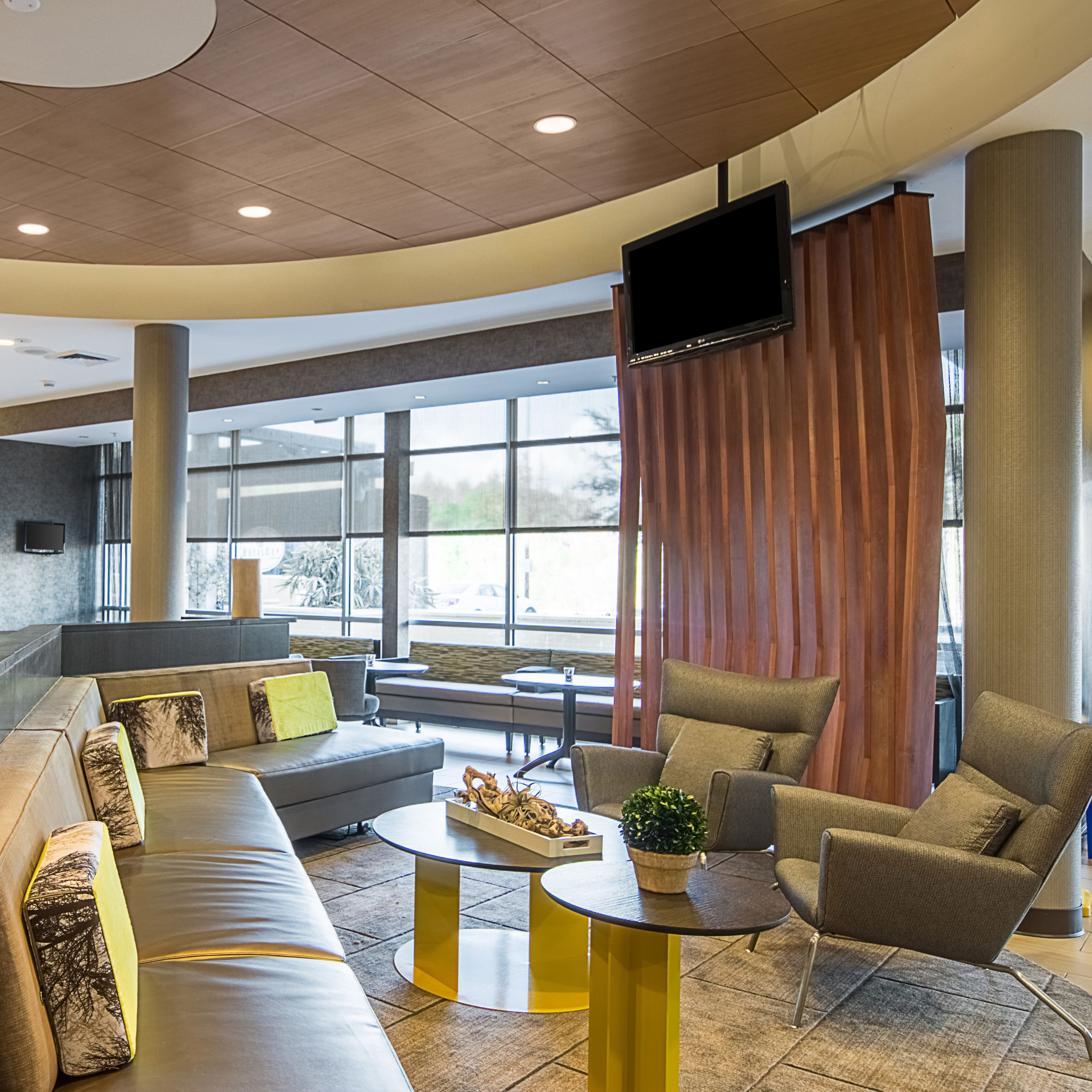 SpringHill Suites Tampa North/I-75 Tampa Palms