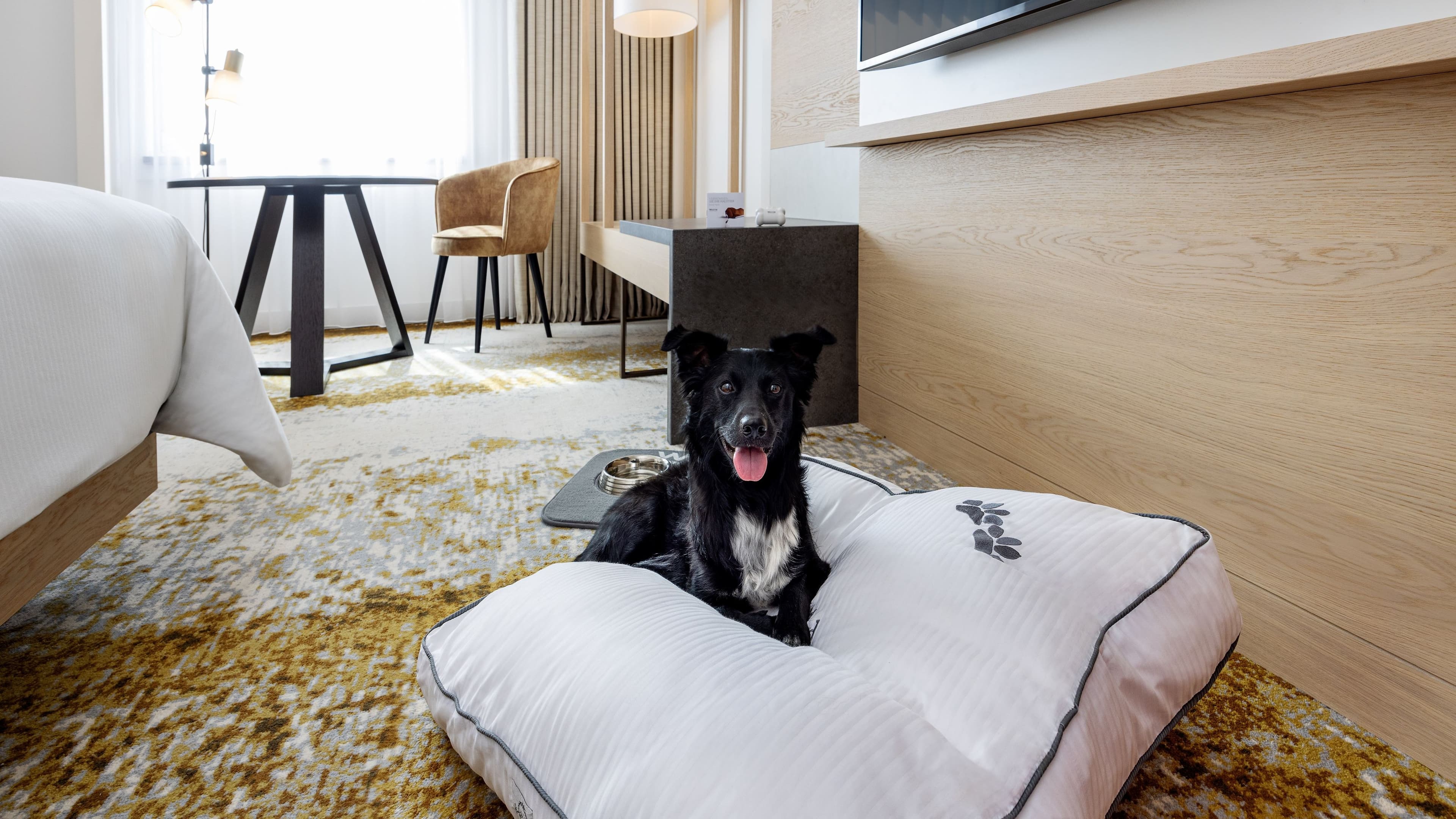 Deluxe Guest room - Image 5