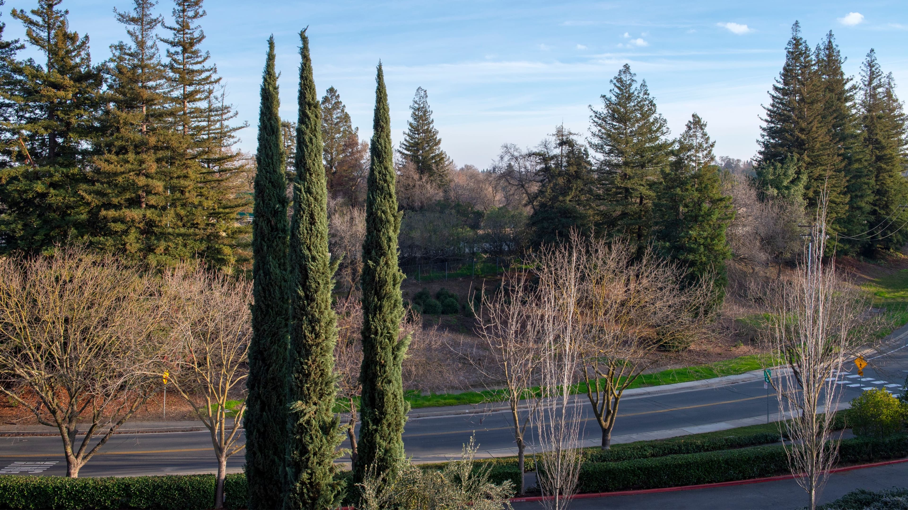 Guest room - Image 2