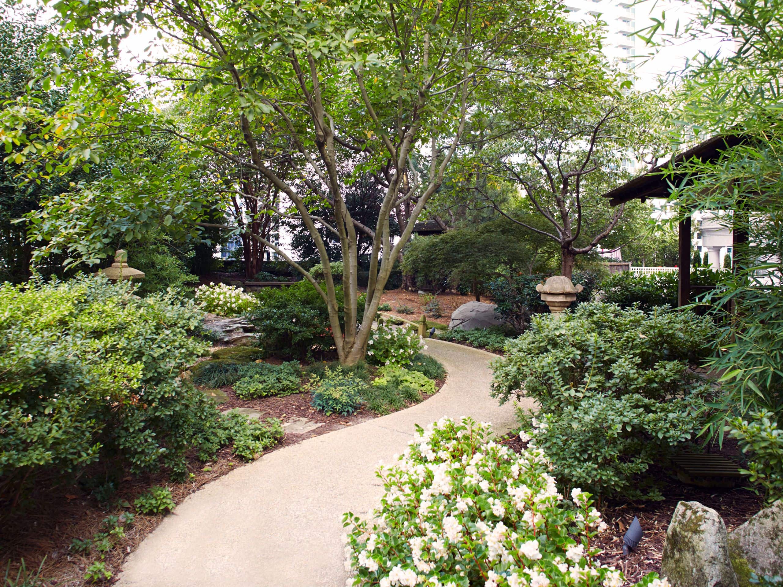 Grand Hyatt Atlanta in Buckhead