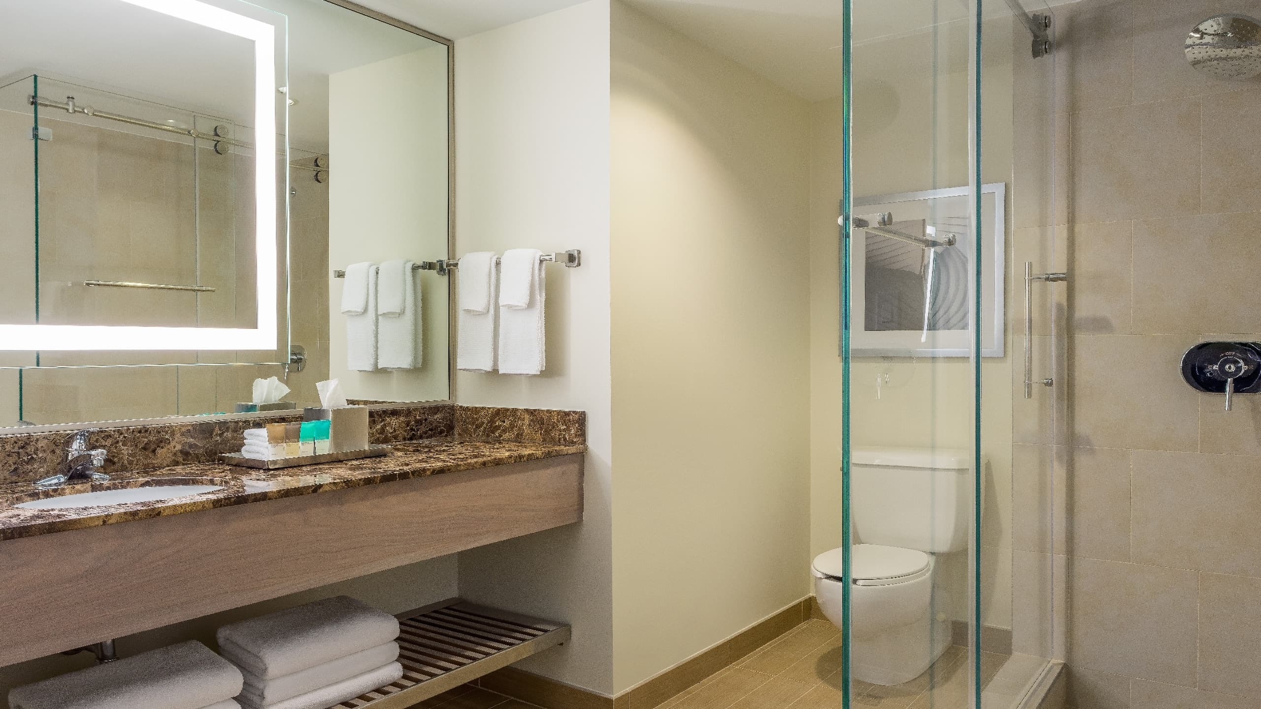 Executive Suite - Image 2