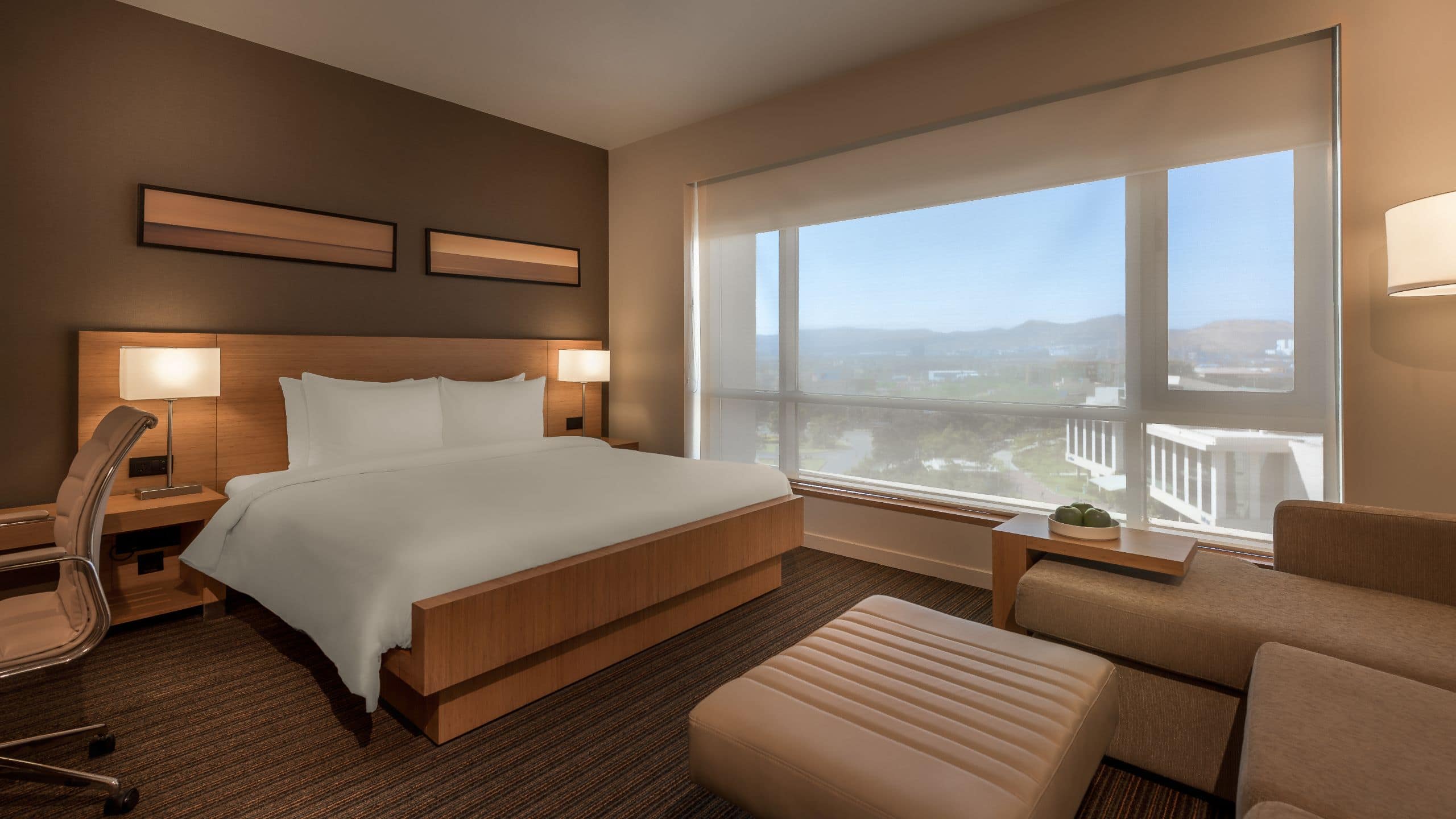 Hyatt Place King with Sofa Bed - Image 3