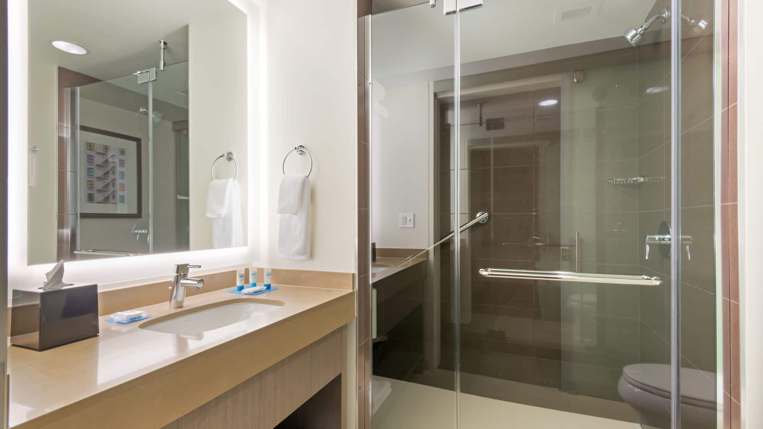 King Studio Suite (Sofabed) - Image 5