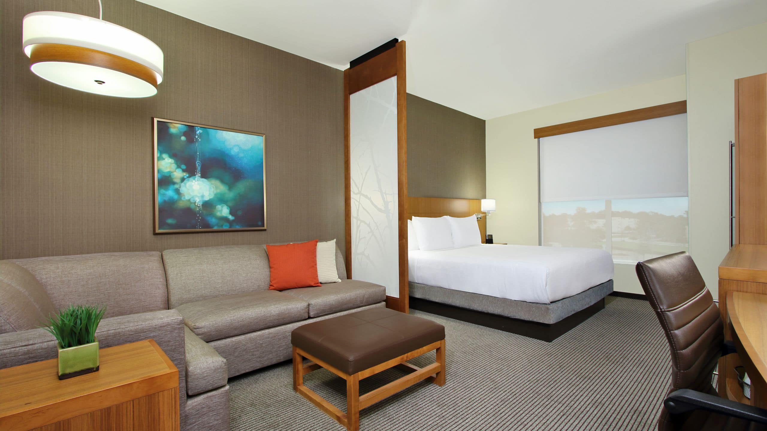 Accessible King Bed/Roll-In Shower (with Sofa Bed) - Image 1