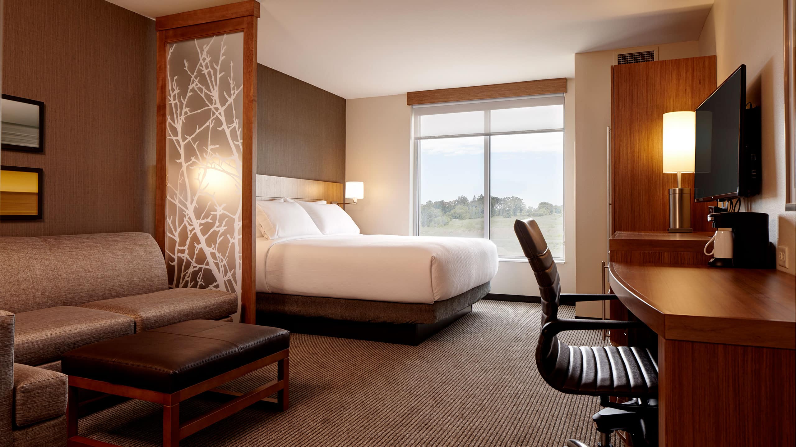 Standard King (plus sofa bed) - Image 1