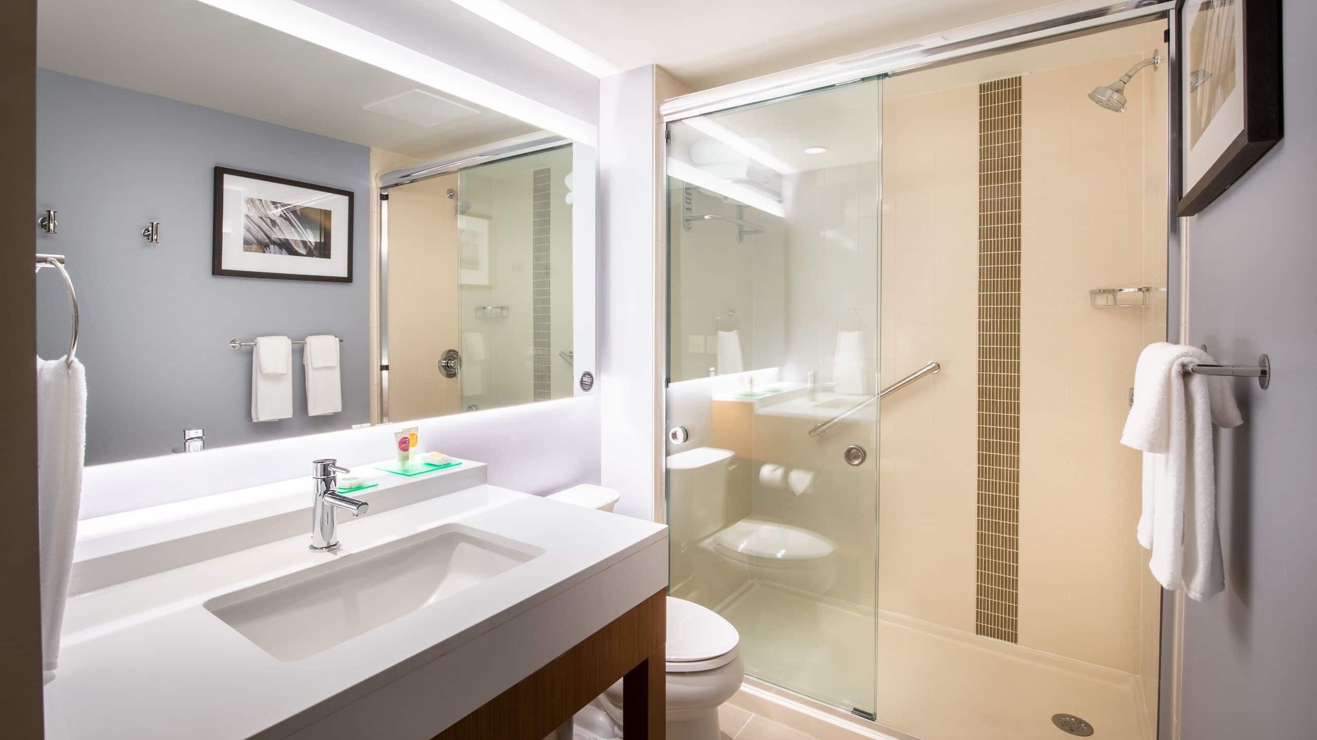 King Bed (plus sofa bed) - Image 2