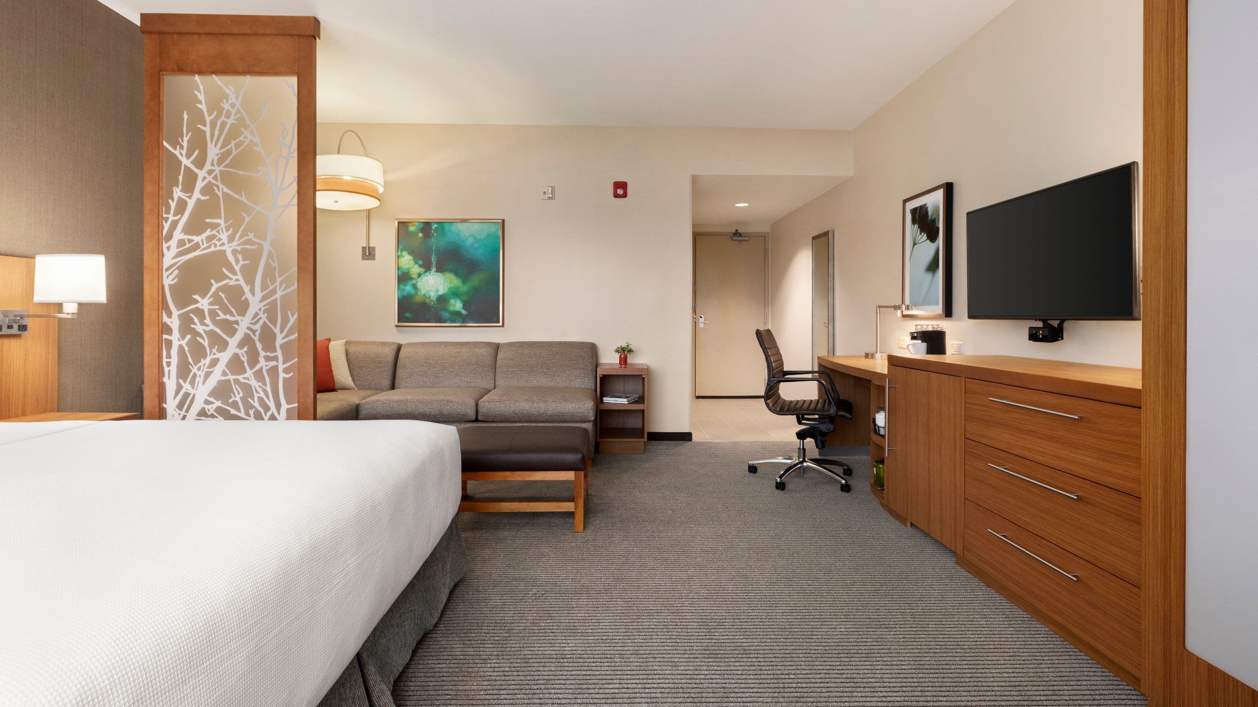 Accessible | King Bed/Roll-In Shower (plus sofa bed) - Image 1