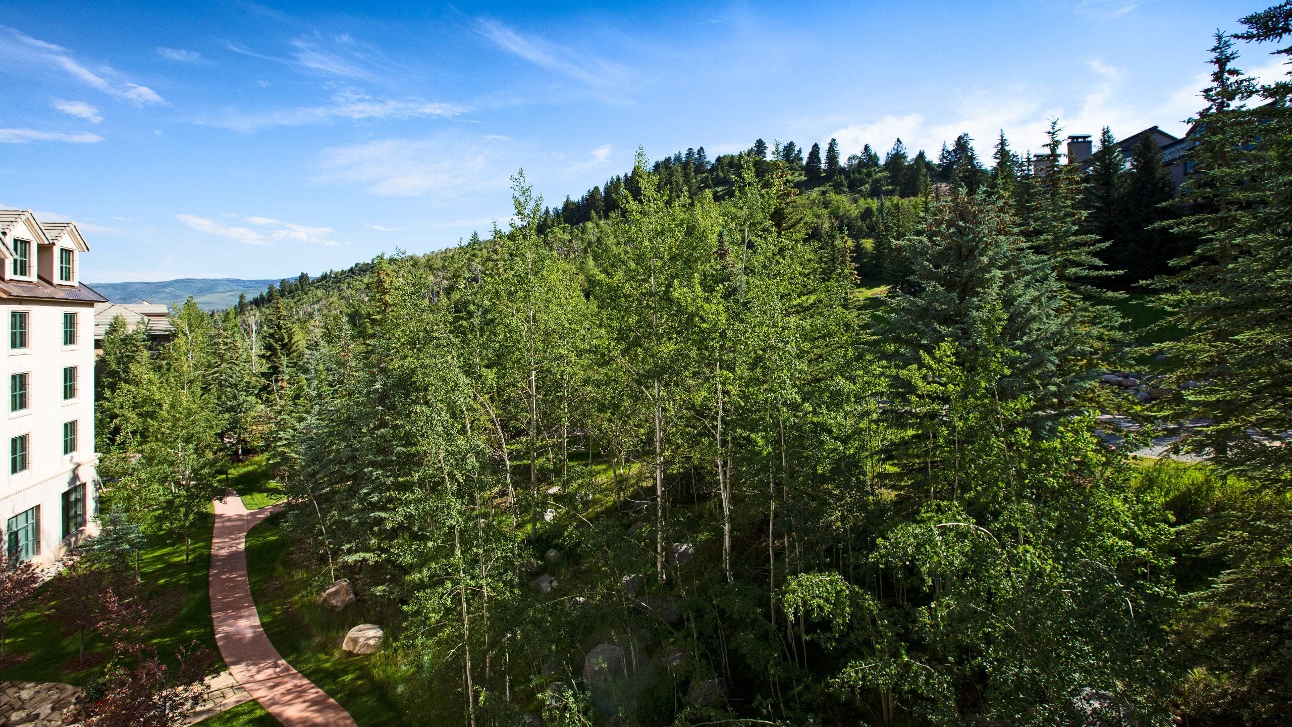 Standard King - Image 2