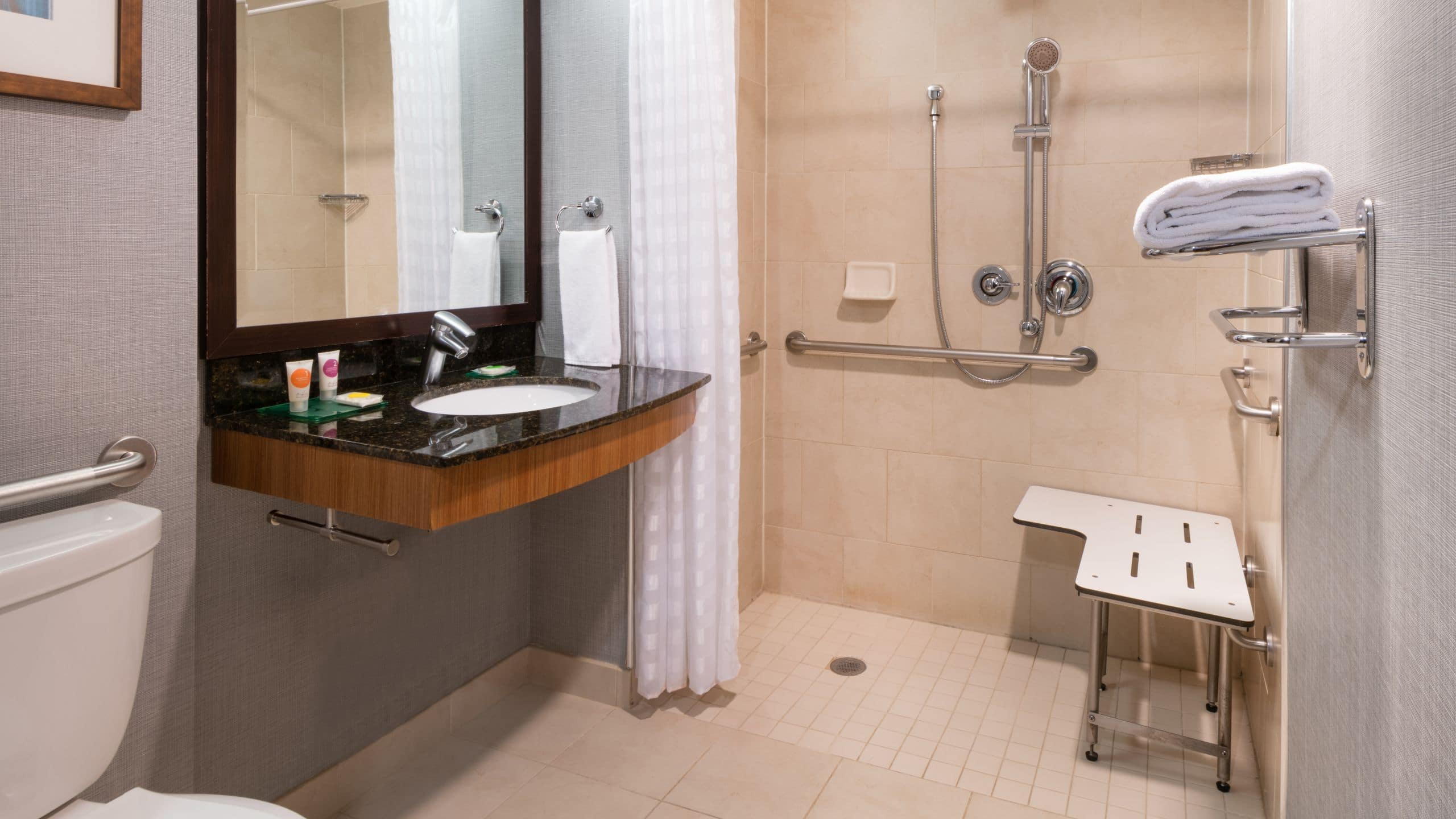 Accessible King Bed/Roll-In Shower - Image 3