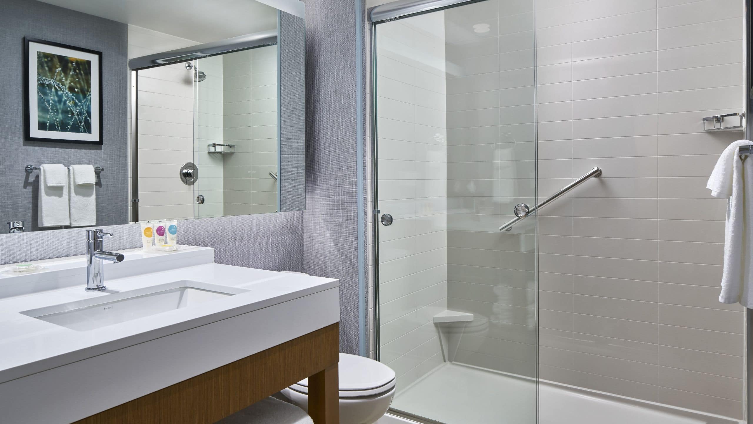 Two Queen Beds (Plus Sofa Bed) - Image 4