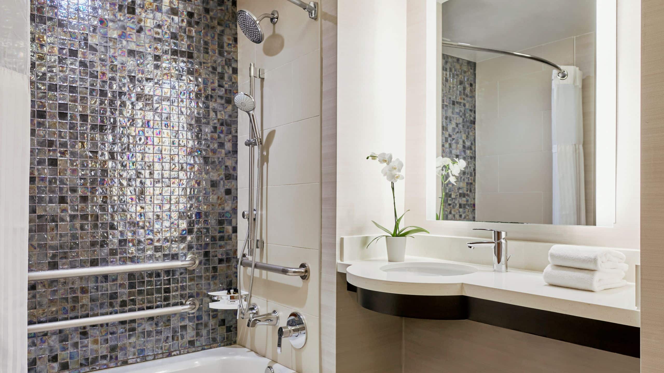 Accesible Queen Tub - Image 3