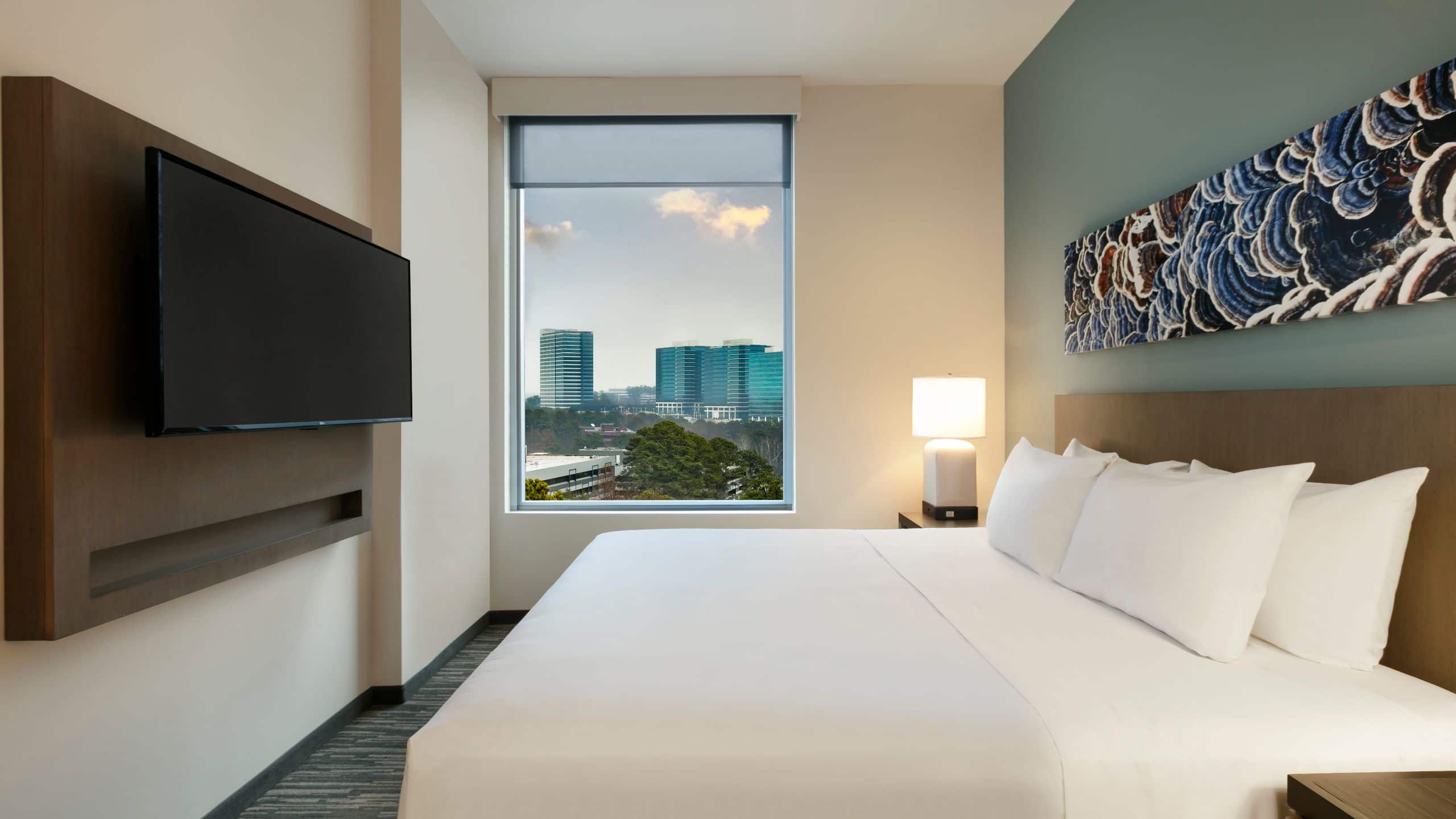 One Bedroom Kitchen Suite | King Bed (Plus Sofa Bed) - Image 4