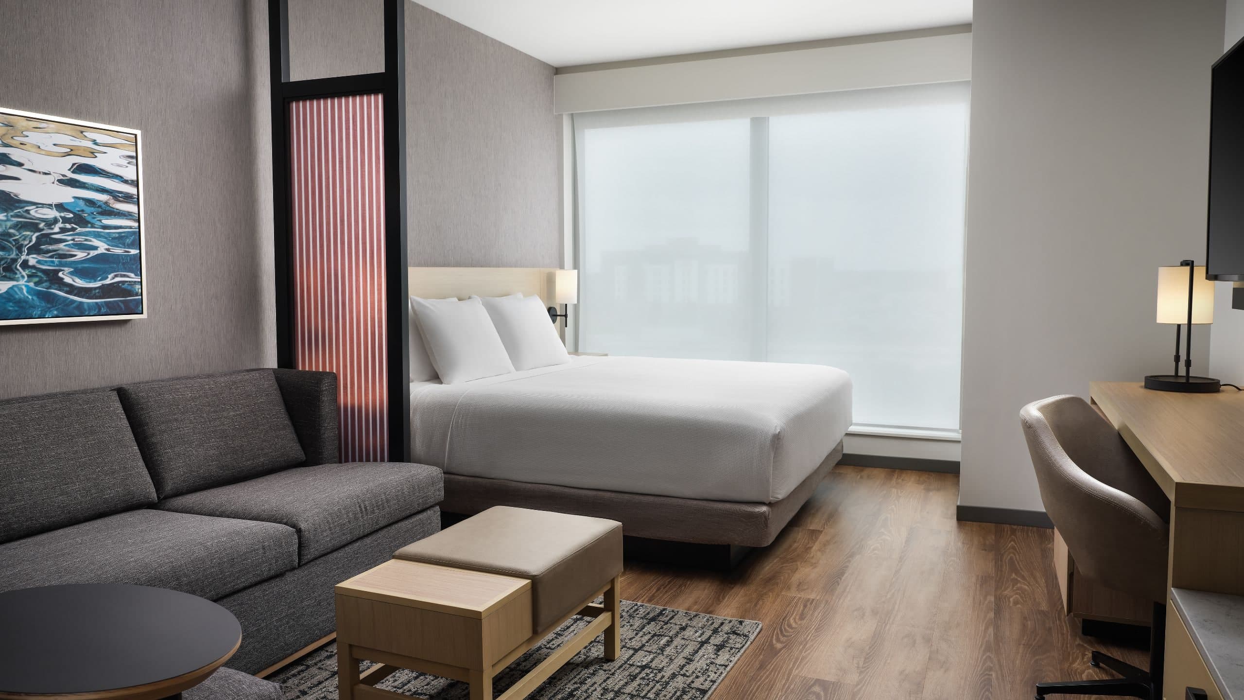 1 King Bed Plus Sofa Bed - Image 1