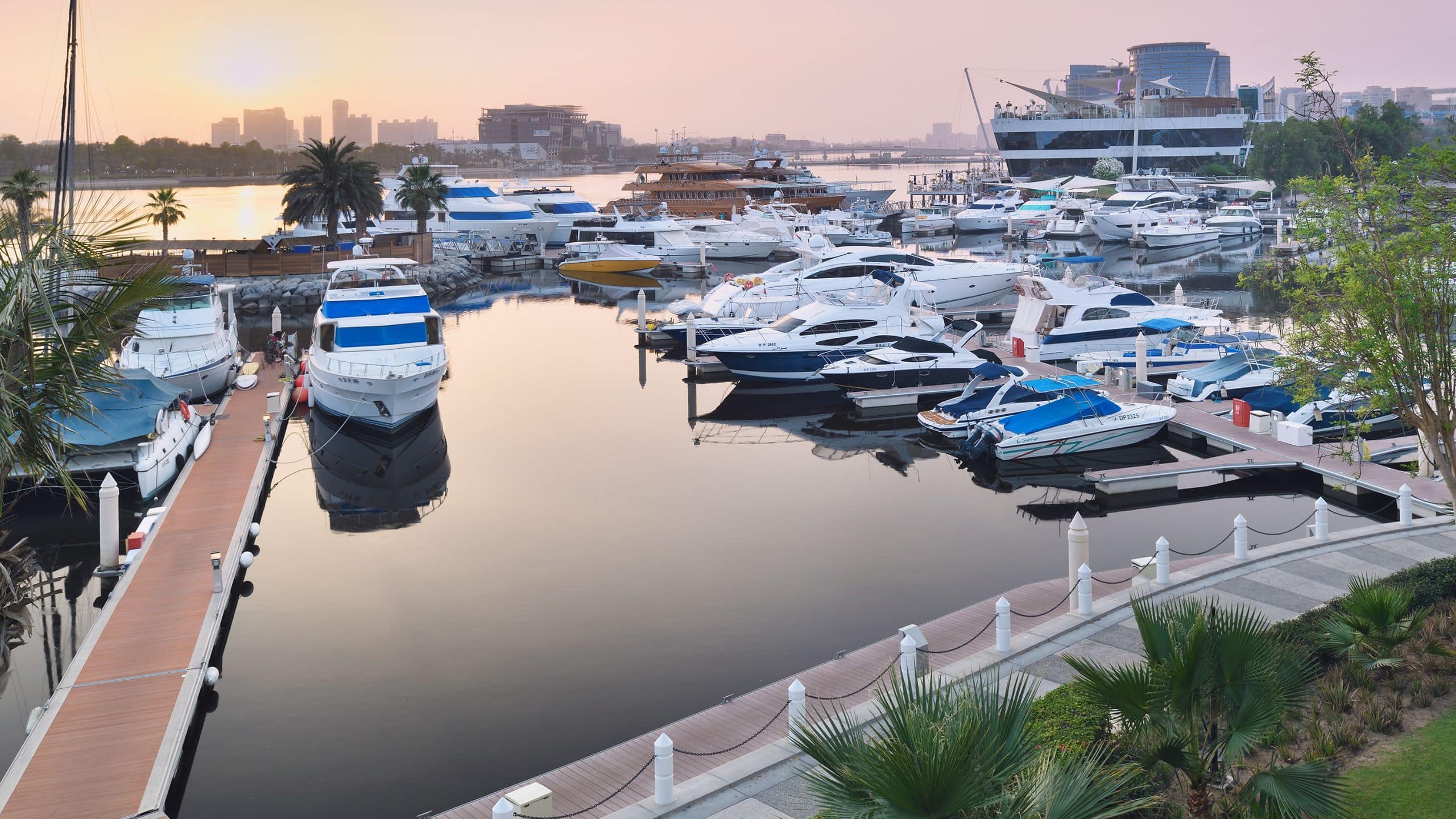 1 King Bed - Image 3