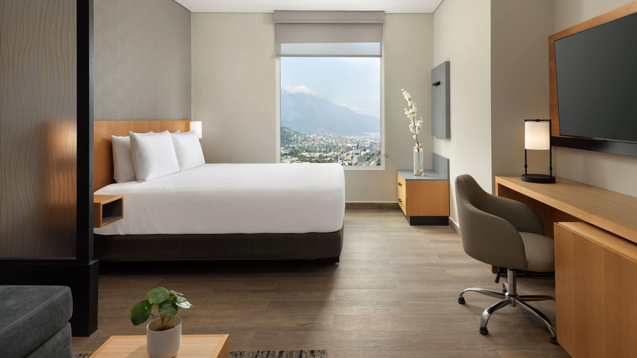 King Bed (Plus Sofa Bed) - Image 1